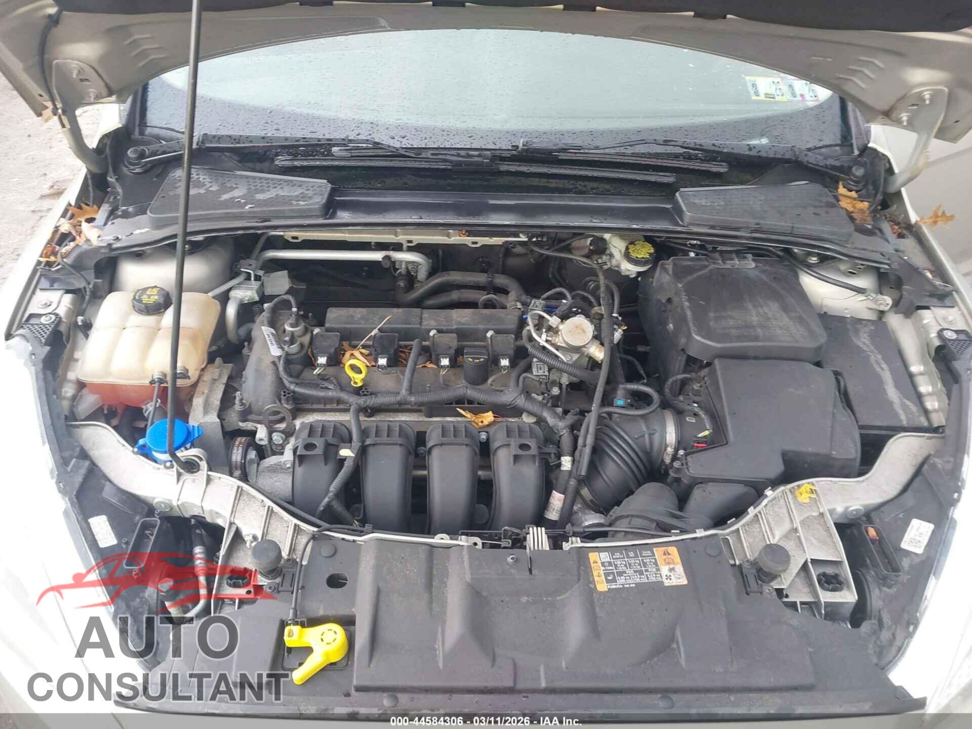 FORD FOCUS 2016 - 1FADP3F25GL352674