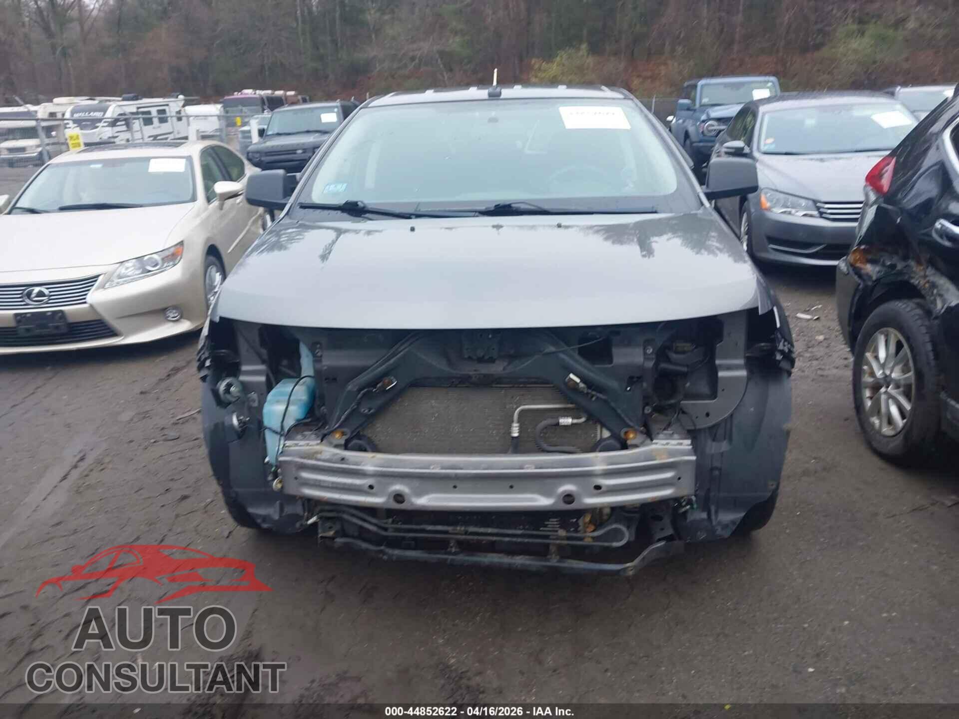 FORD EDGE 2009 - 2FMDK36C39BA65351