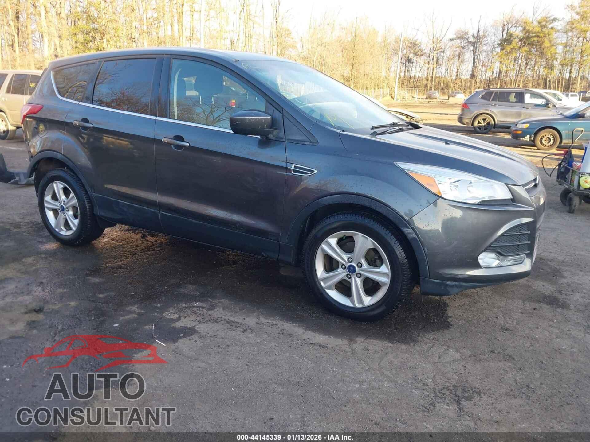 FORD ESCAPE 2016 - 1FMCU0GX1GUB53473