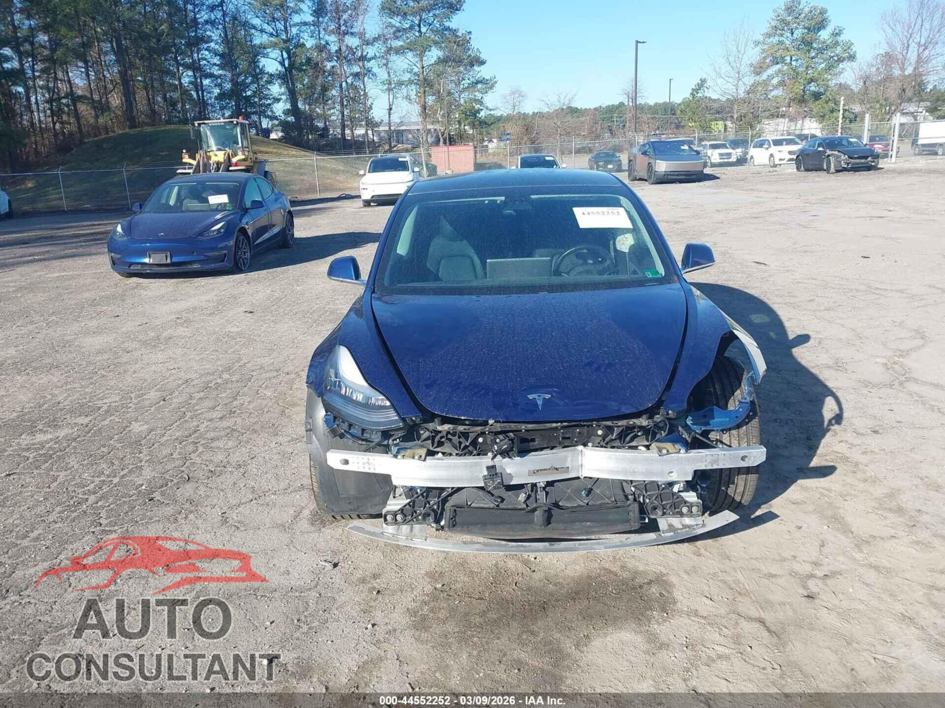 TESLA MODEL 3 2019 - 5YJ3E1EA4KF309612