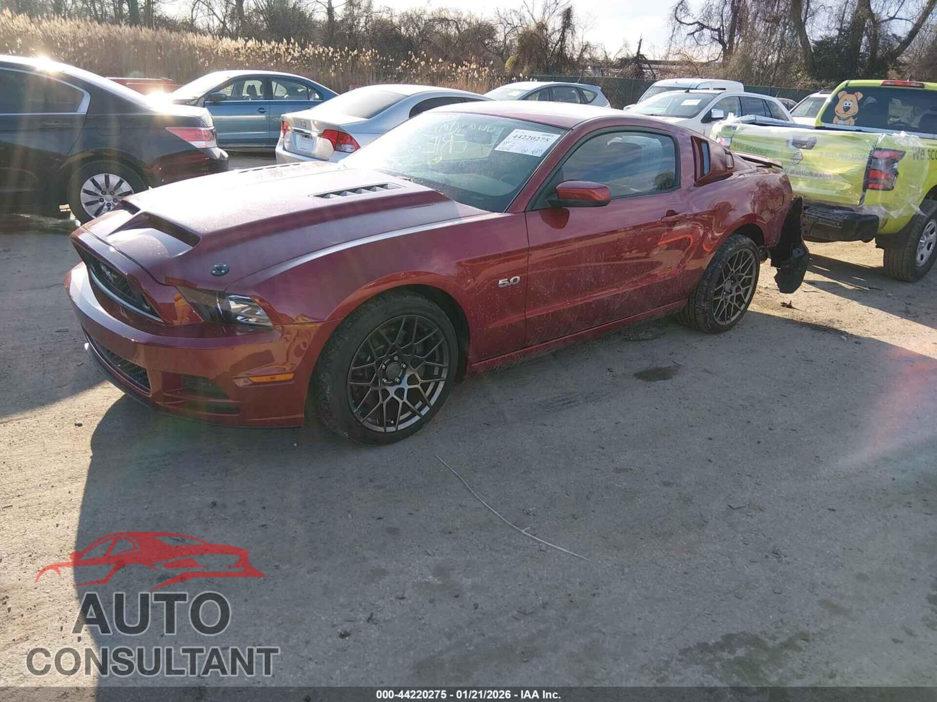 FORD MUSTANG 2014 - 1ZVBP8CF0E5225657
