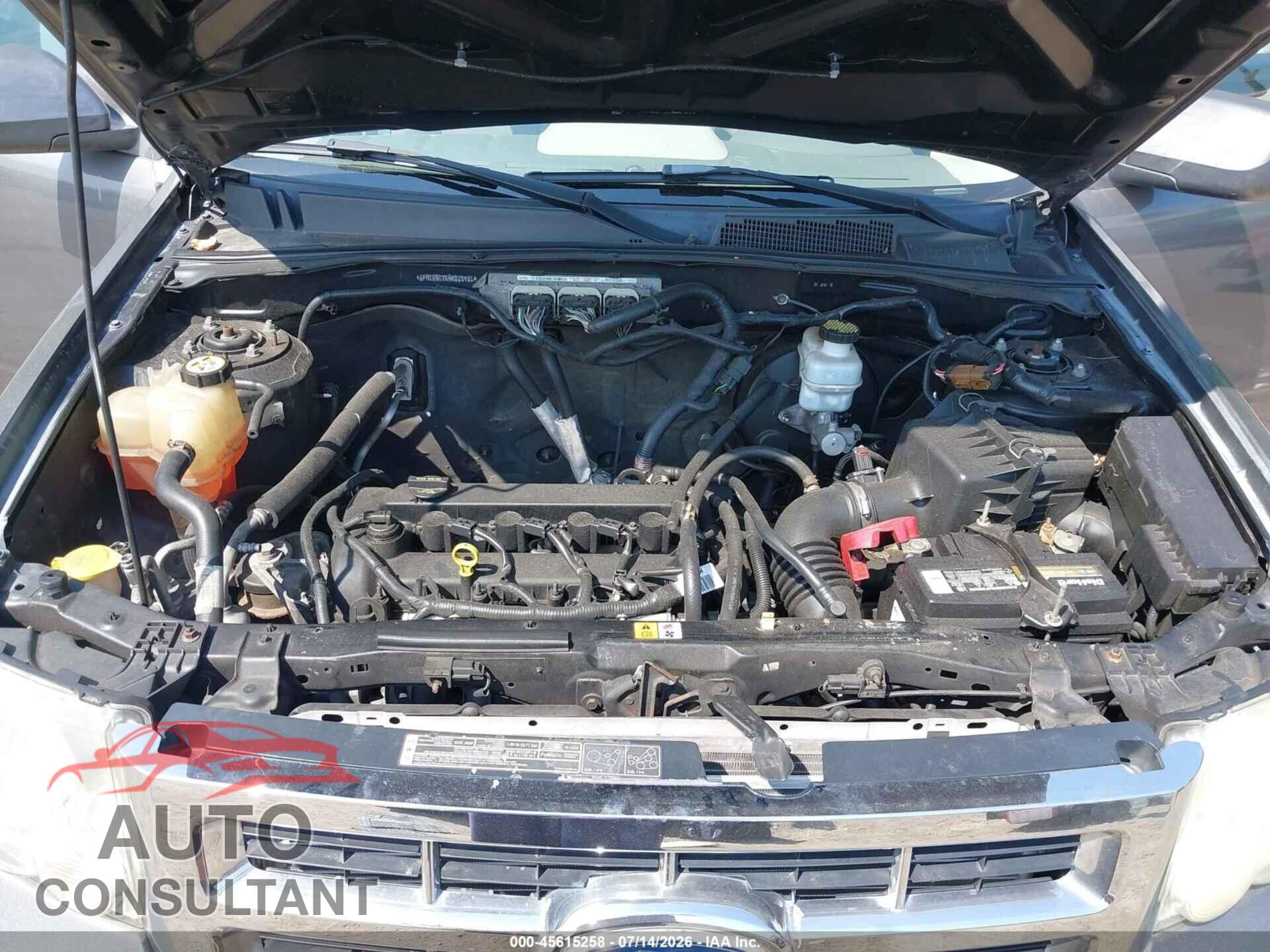 FORD ESCAPE 2010 - 1FMCU0C76AKD15431