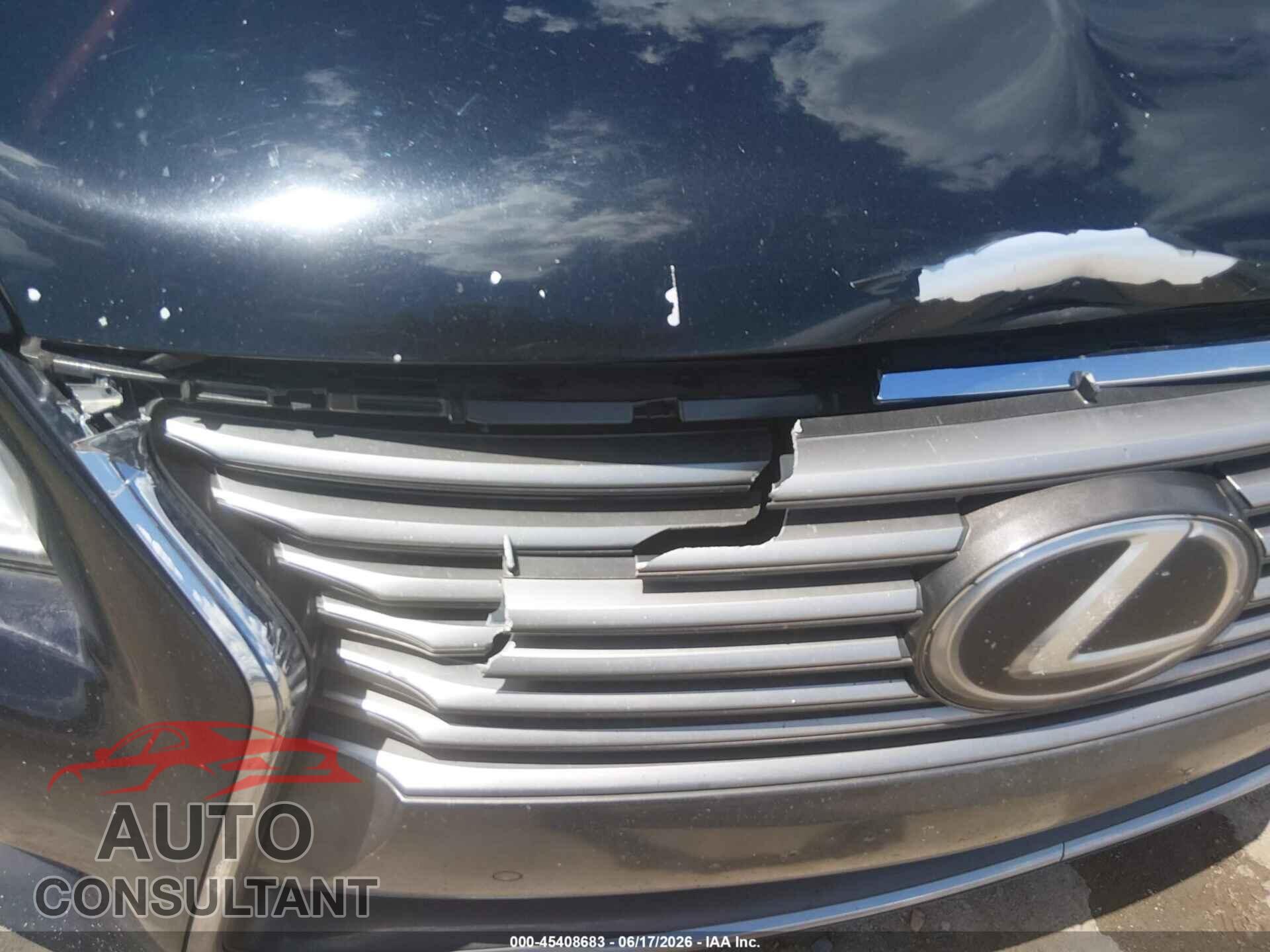 LEXUS LS 460 2013 - JTHDL5EF8D5005800
