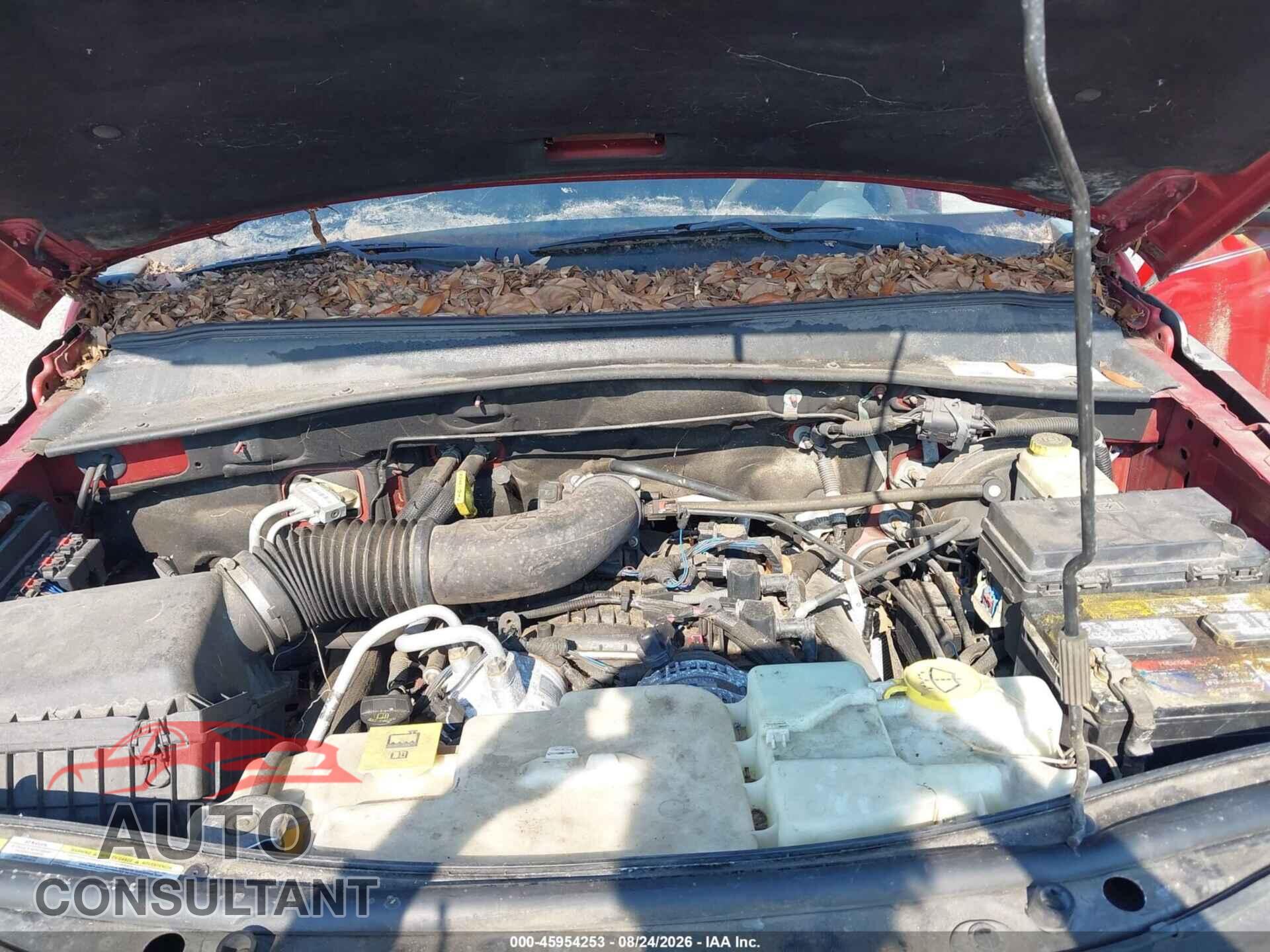 DODGE NITRO 2011 - 1D4PT2GKXBW535512