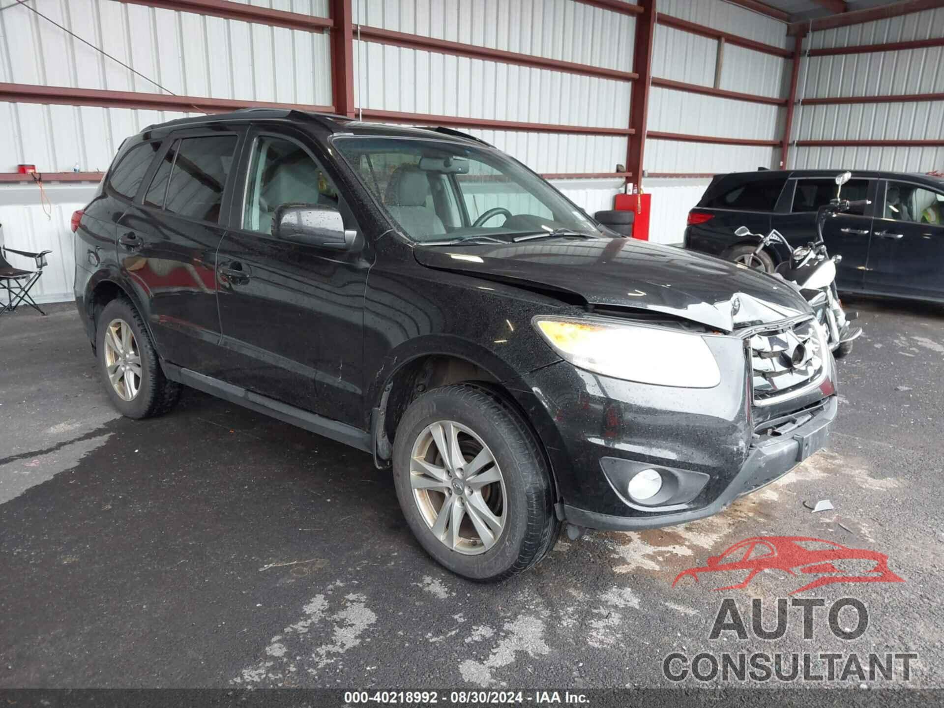 HYUNDAI SANTA FE 2011 - 5XYZHDAG7BG028779