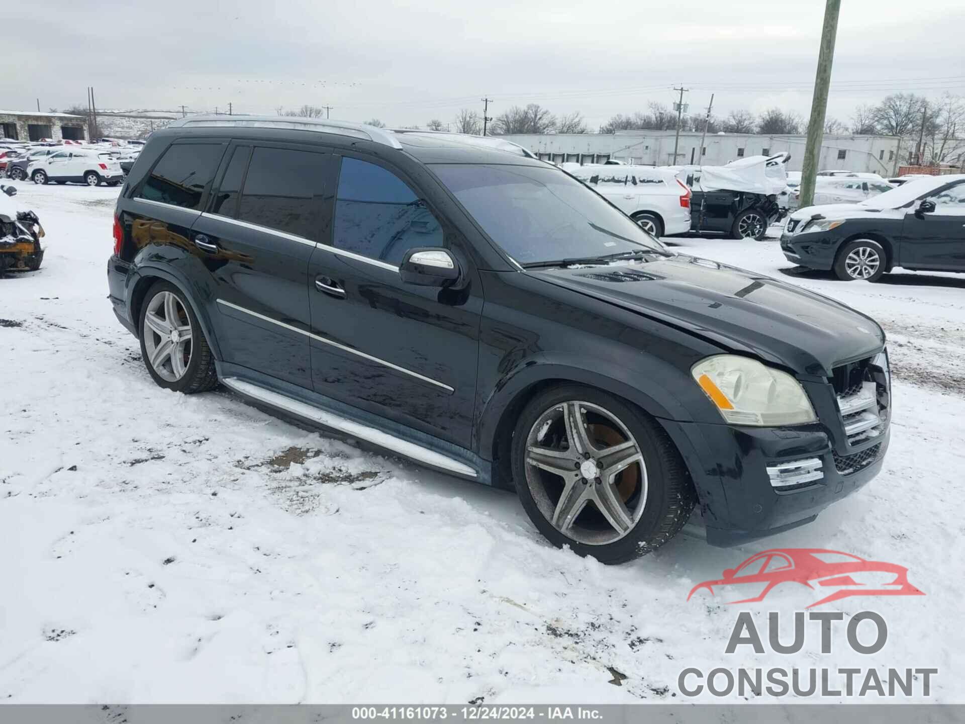 MERCEDES-BENZ GL-CLASS 2010 - 4JGBF8GE0AA586942