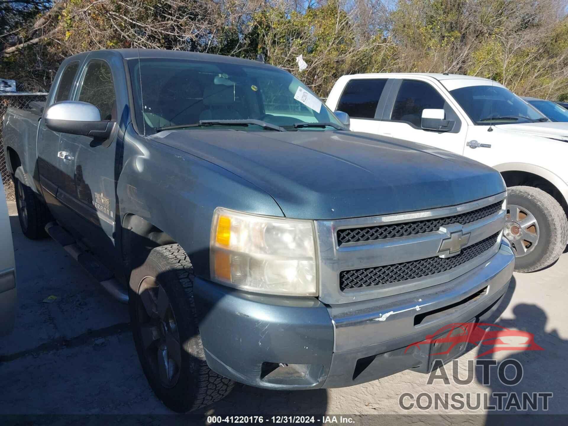 CHEVROLET SILVERADO 1500 2009 - 1GCEC290X9Z155918