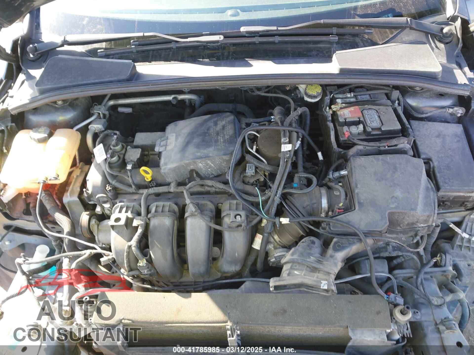 FORD FOCUS 2016 - 1FADP3F21GL212718