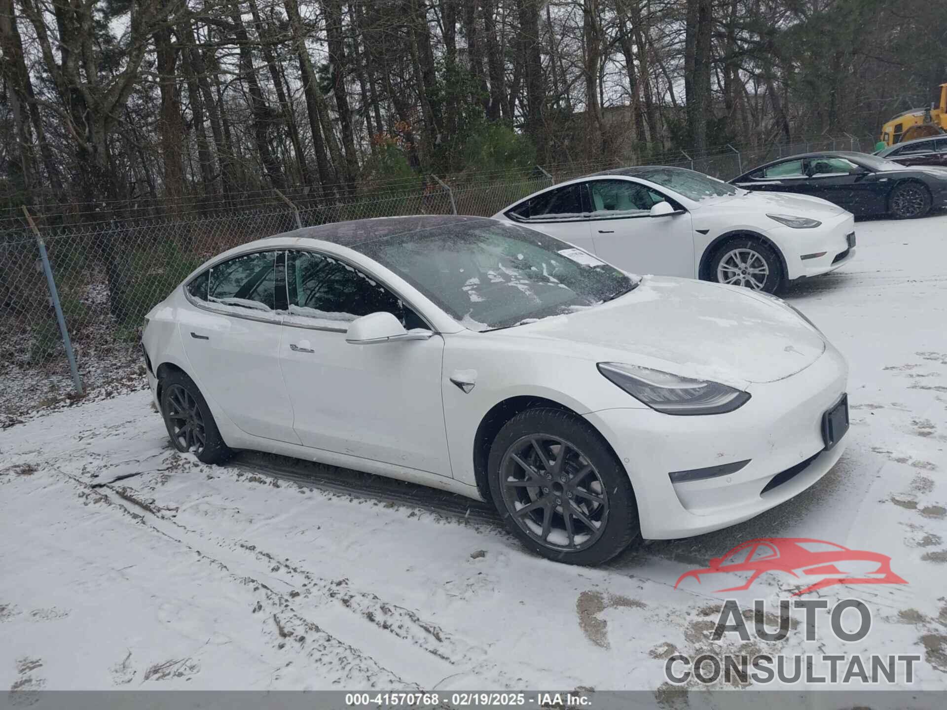 TESLA MODEL 3 2019 - 5YJ3E1EA2KF299730