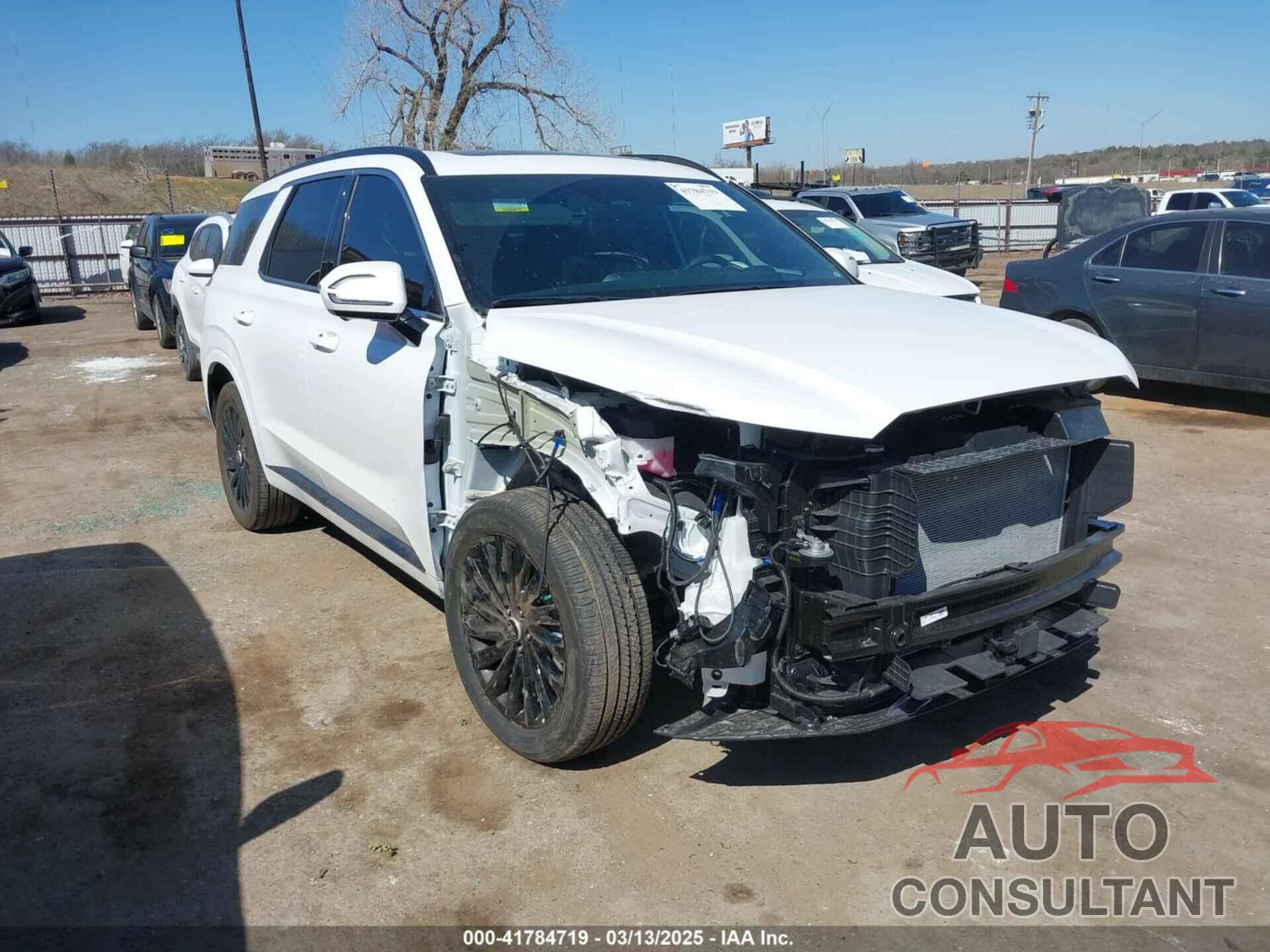 HYUNDAI PALISADE 2025 - KM8R7DGE2SU880038