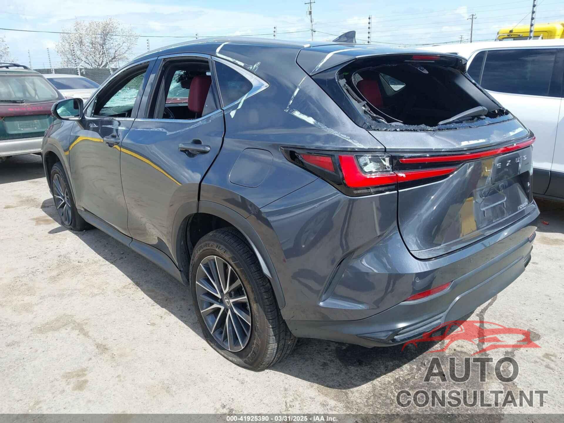 LEXUS NX 250 2024 - 2T2GDCAZ4RC006643