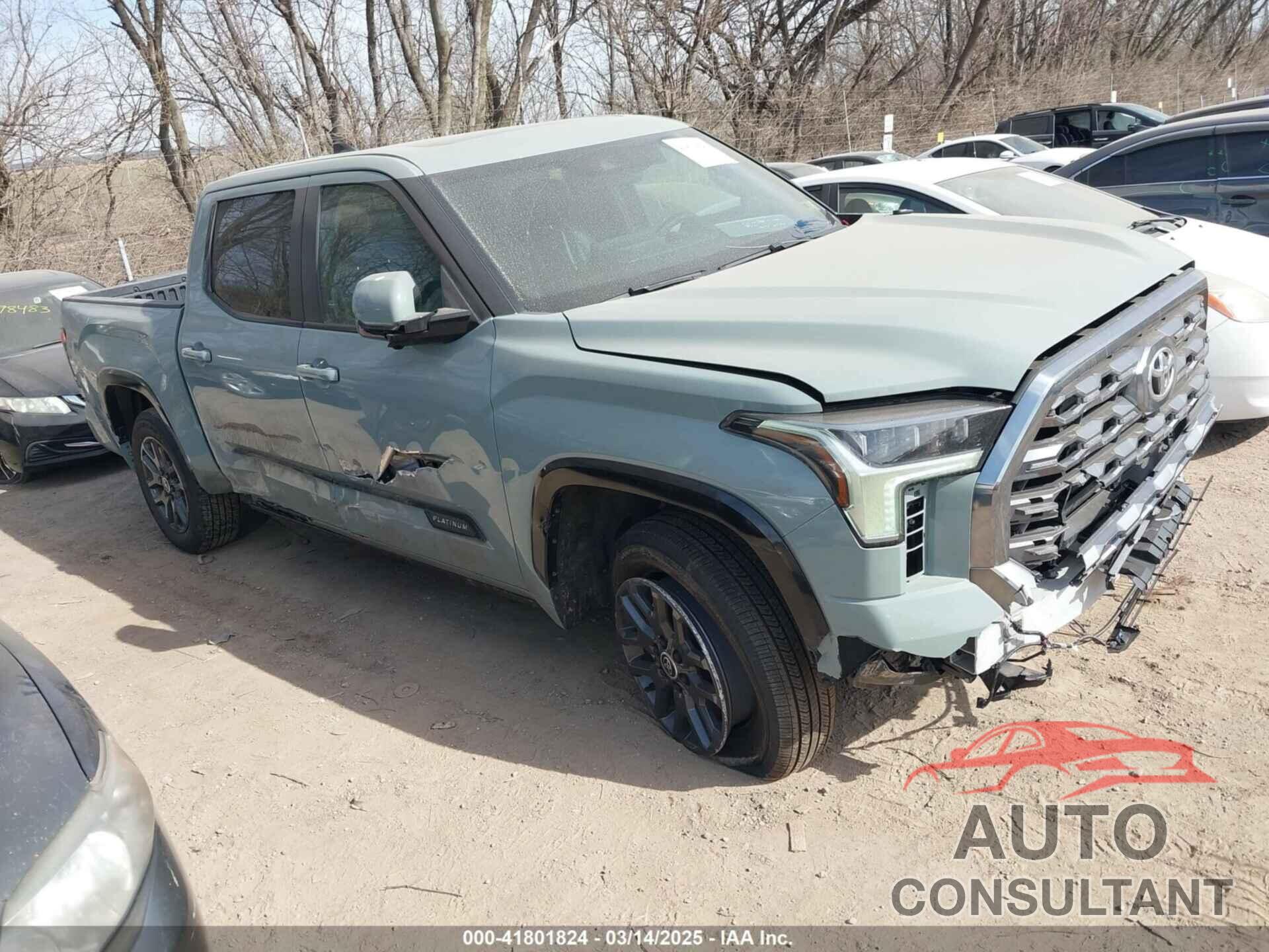 TOYOTA TUNDRA 2024 - 5TFNA5DB2RX209174