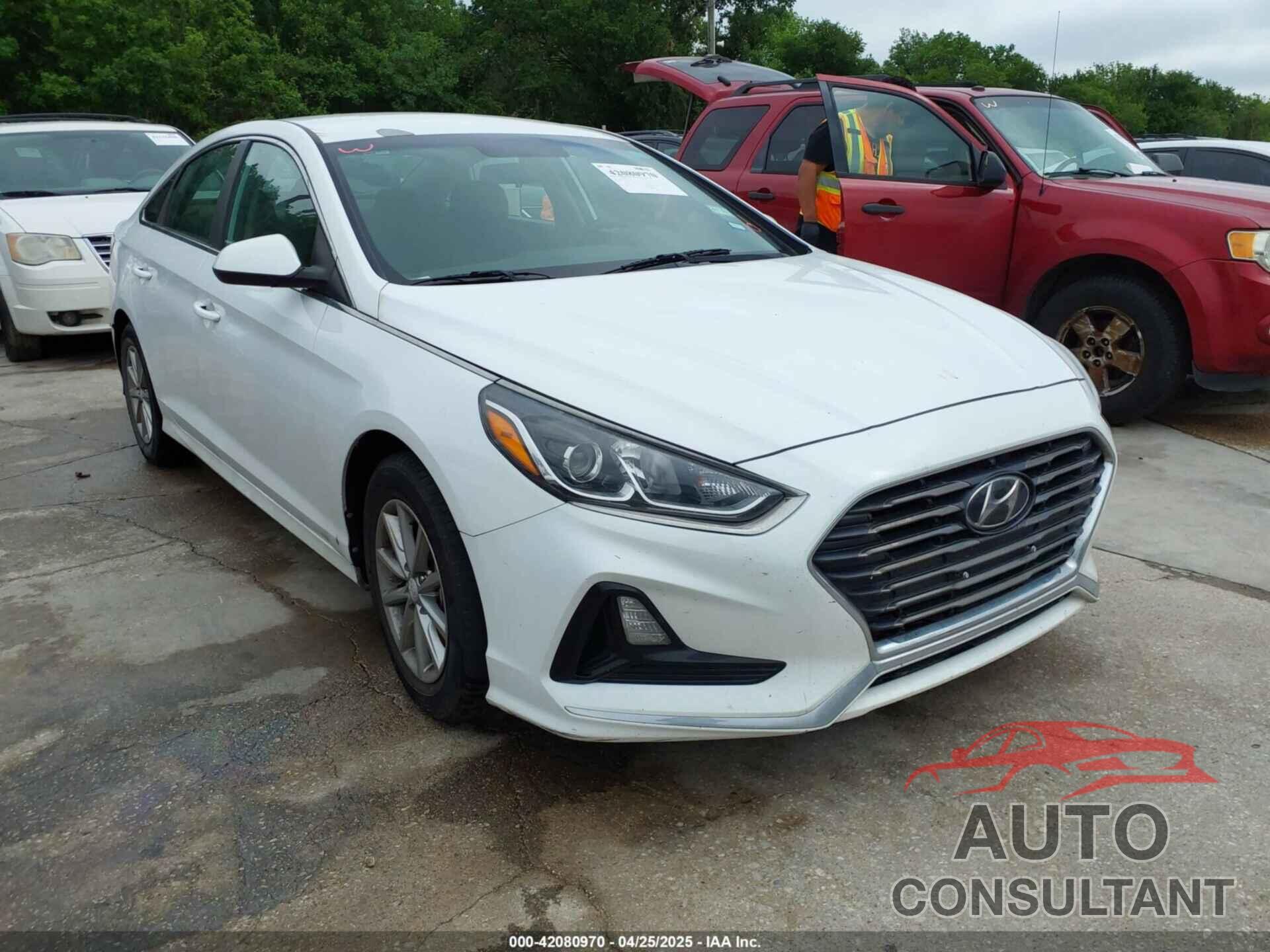 HYUNDAI SONATA 2019 - 5NPE24AF9KH771265