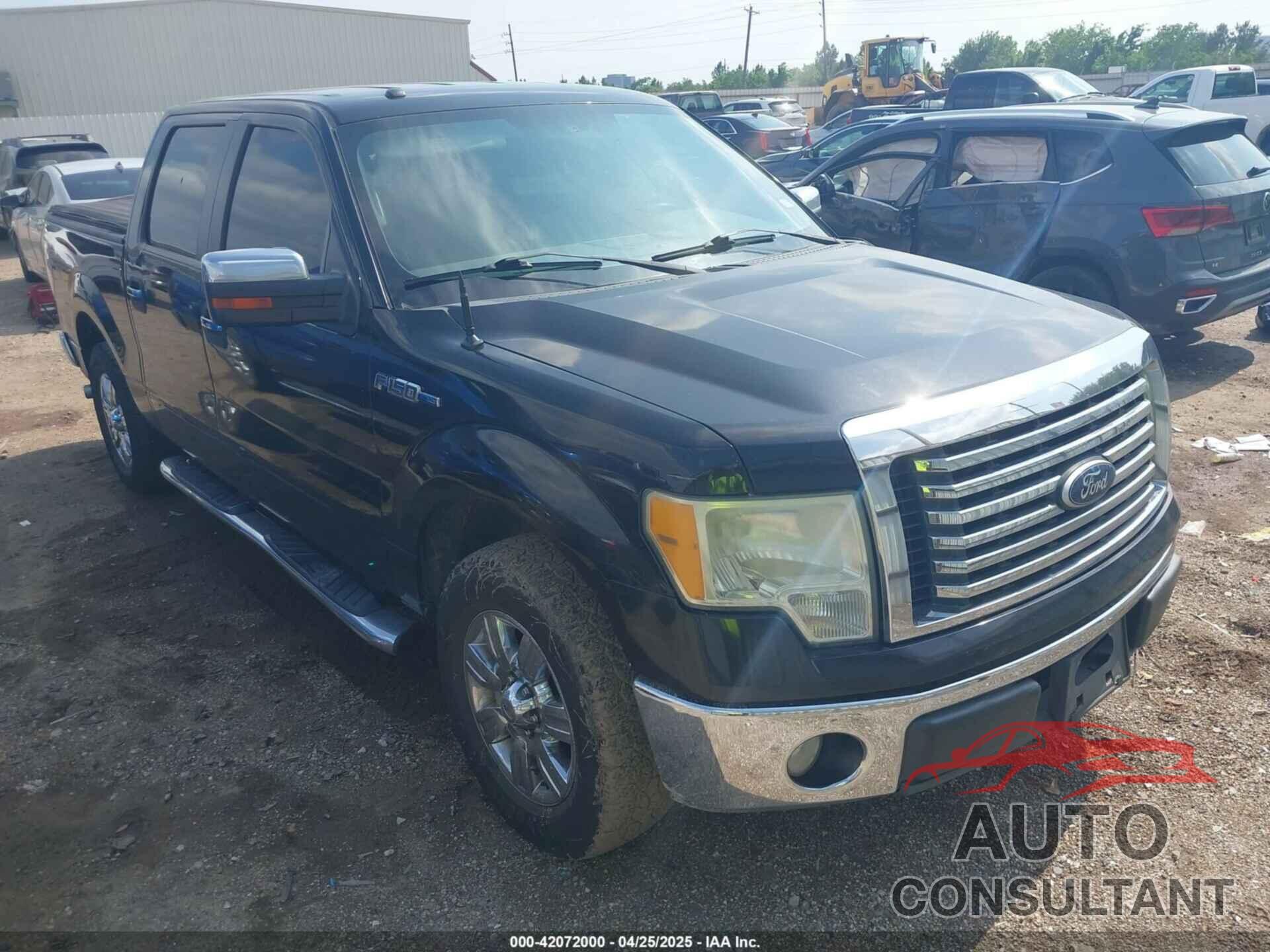 FORD F-150 2010 - 1FTEW1C87AFD03982