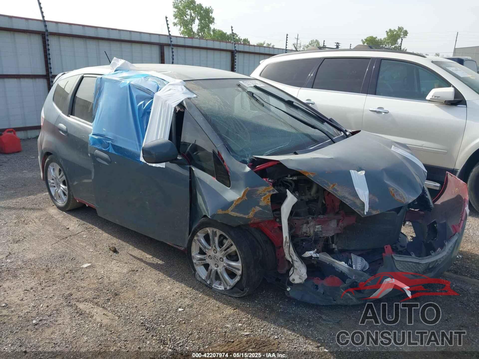 HONDA FIT 2009 - JHMGE88439C005838