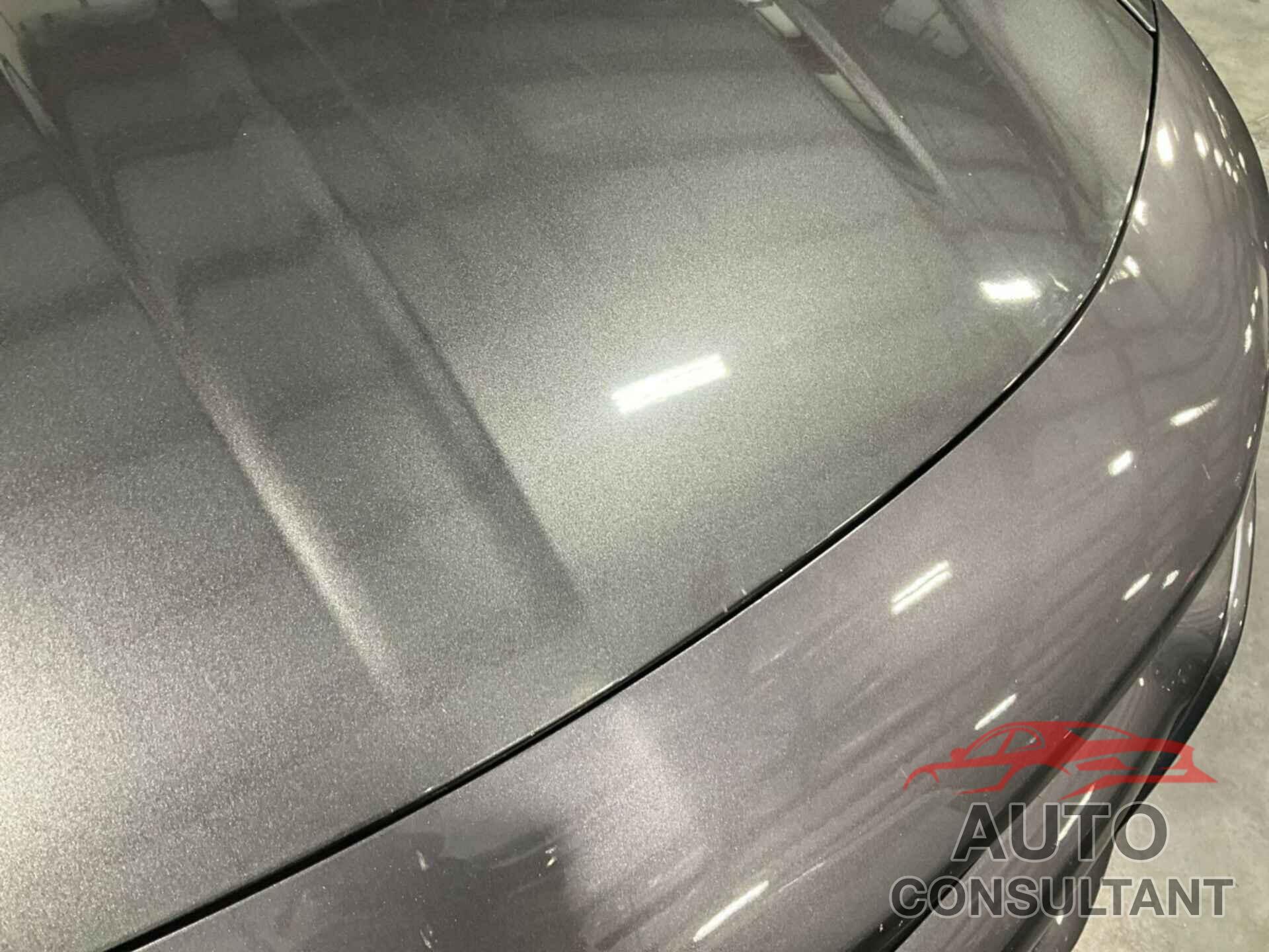 DODGE CHARGER 2019 - 2C3CDXJGXKH637230