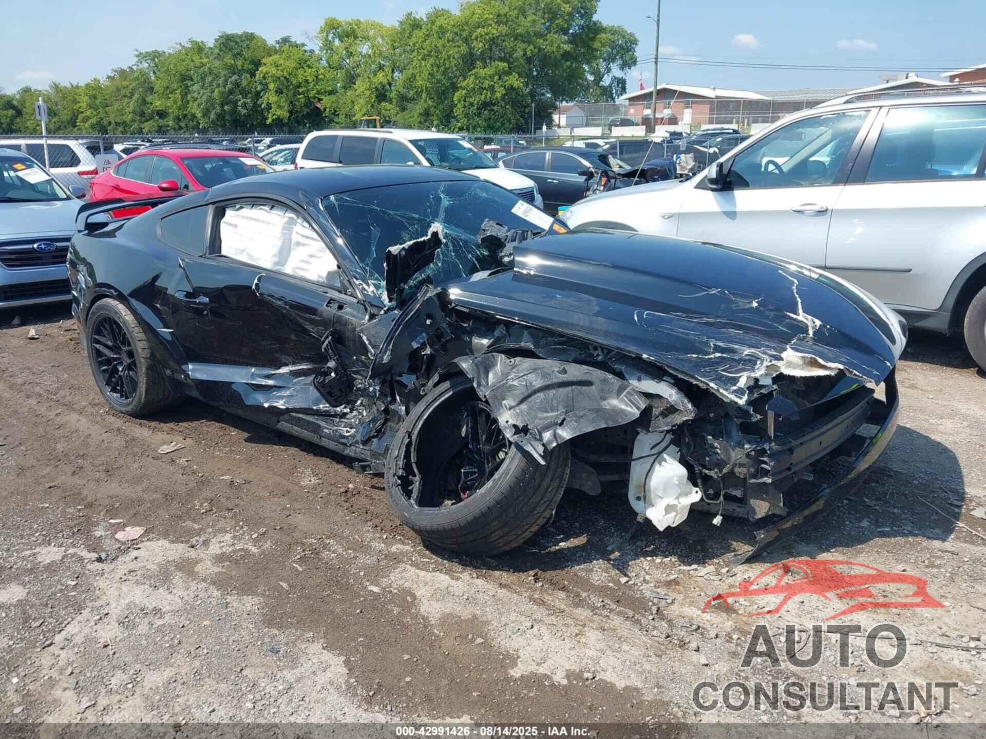 FORD MUSTANG 2019 - 1FA6P8CF9K5116961
