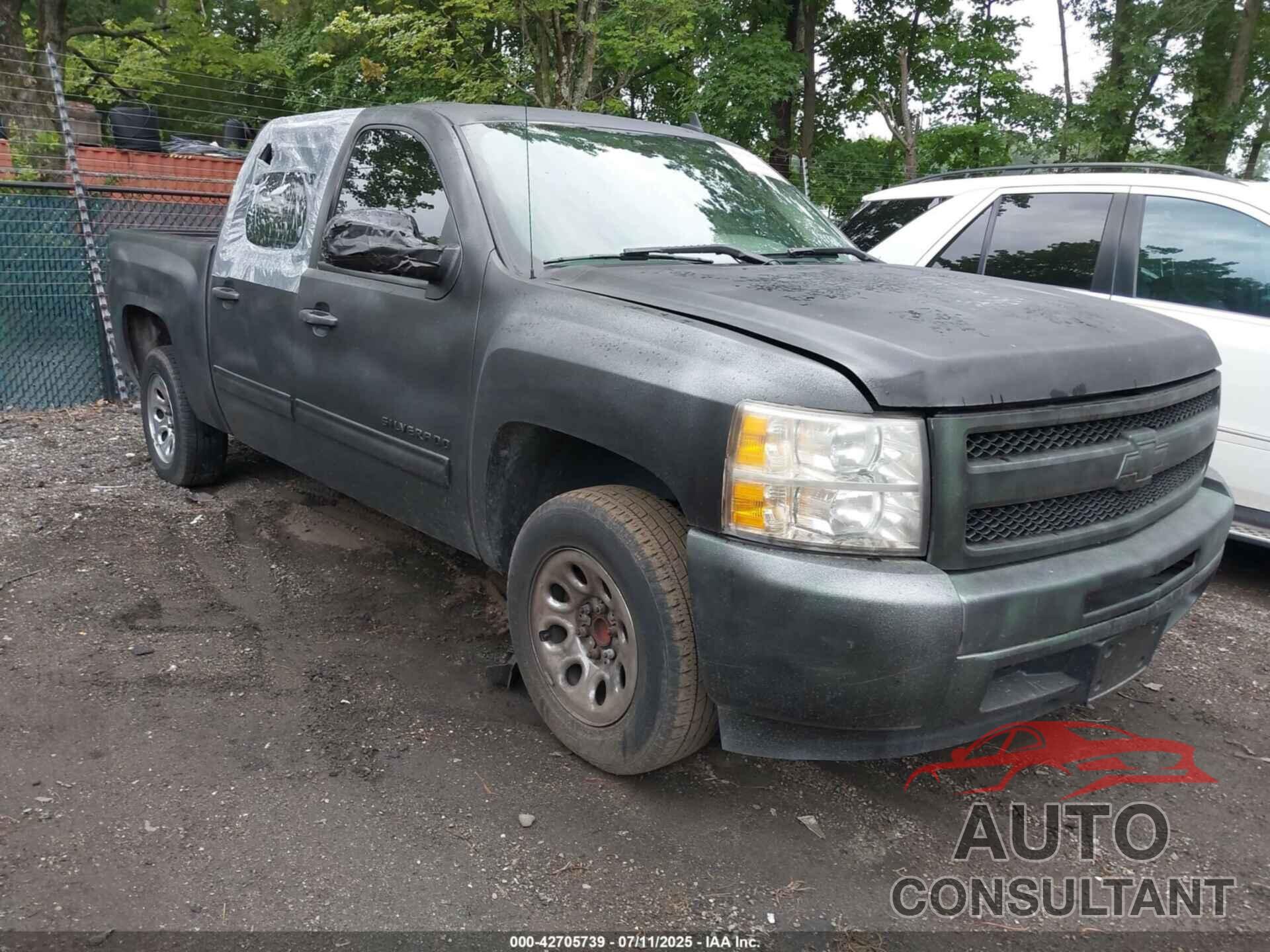 CHEVROLET SILVERADO 1500 2010 - 3GCRCREA7AG153380