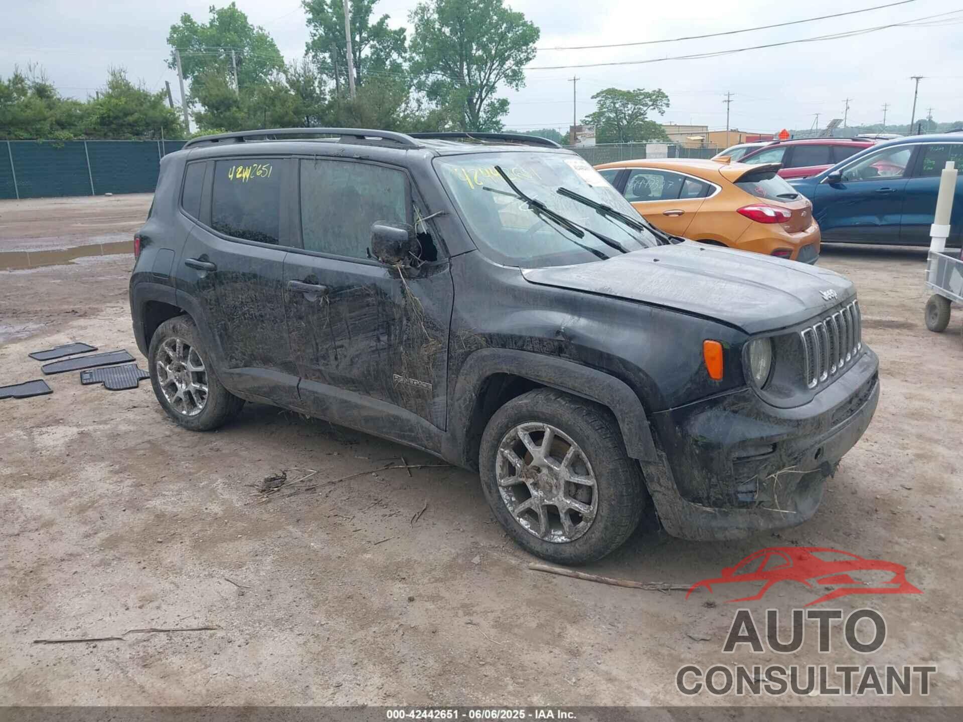 JEEP RENEGADE 2019 - ZACNJABB1KPK87012