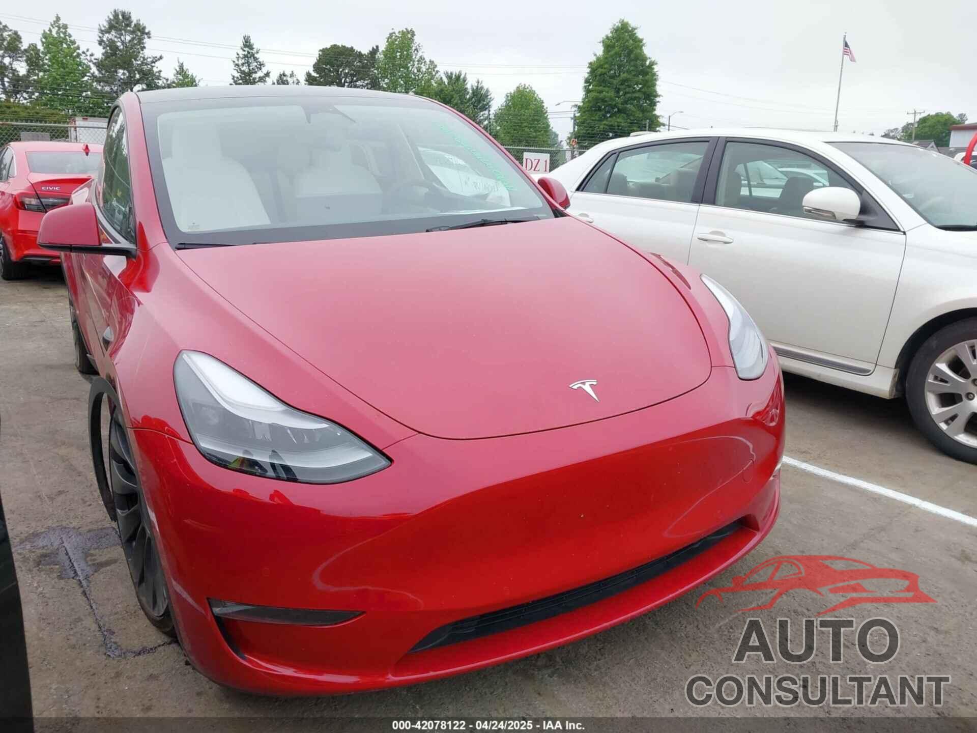 TESLA MODEL Y 2022 - 7SAYGDEF6NF511436