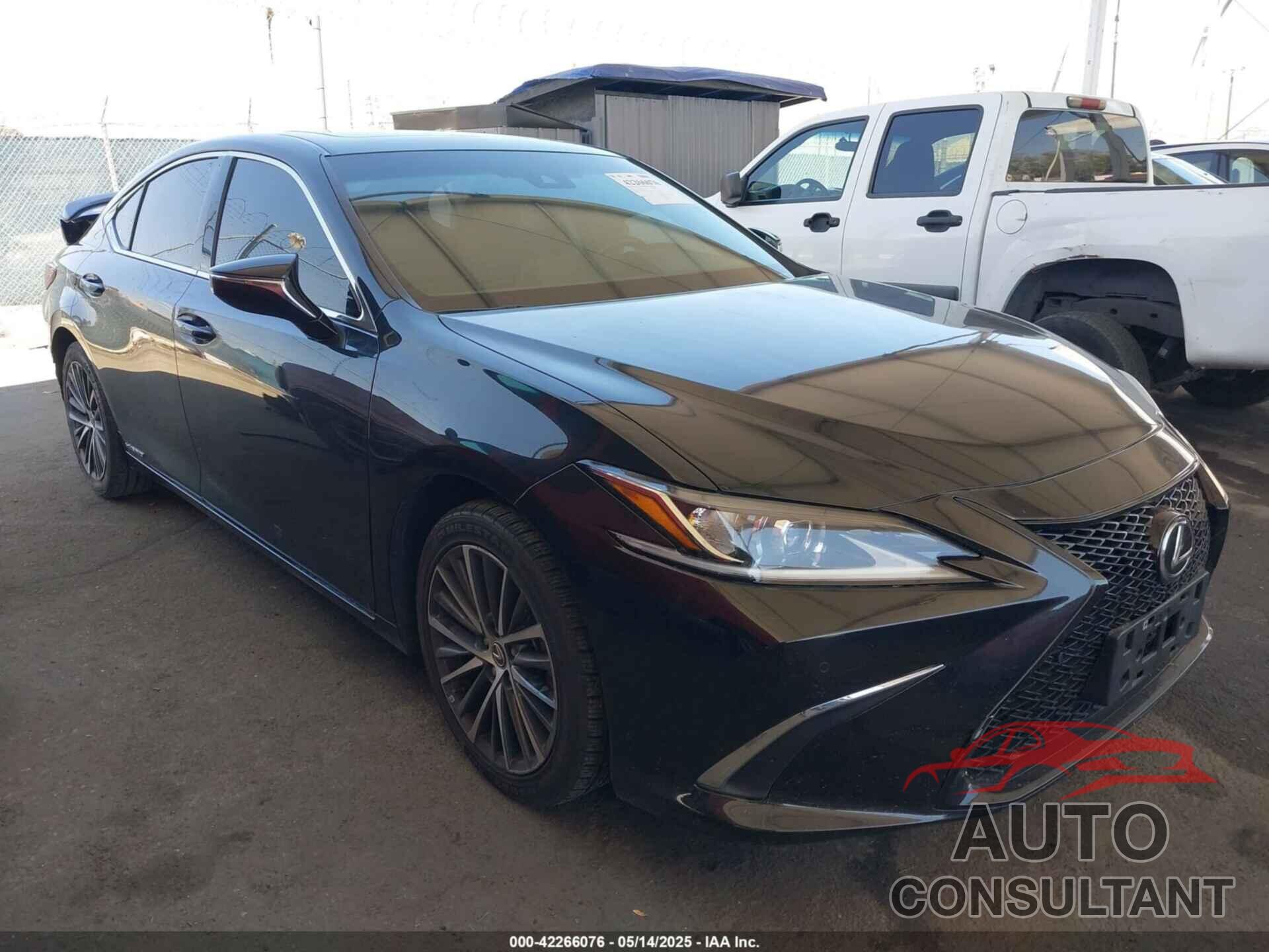 LEXUS ES 300H 2022 - 58ADA1C16NU025224