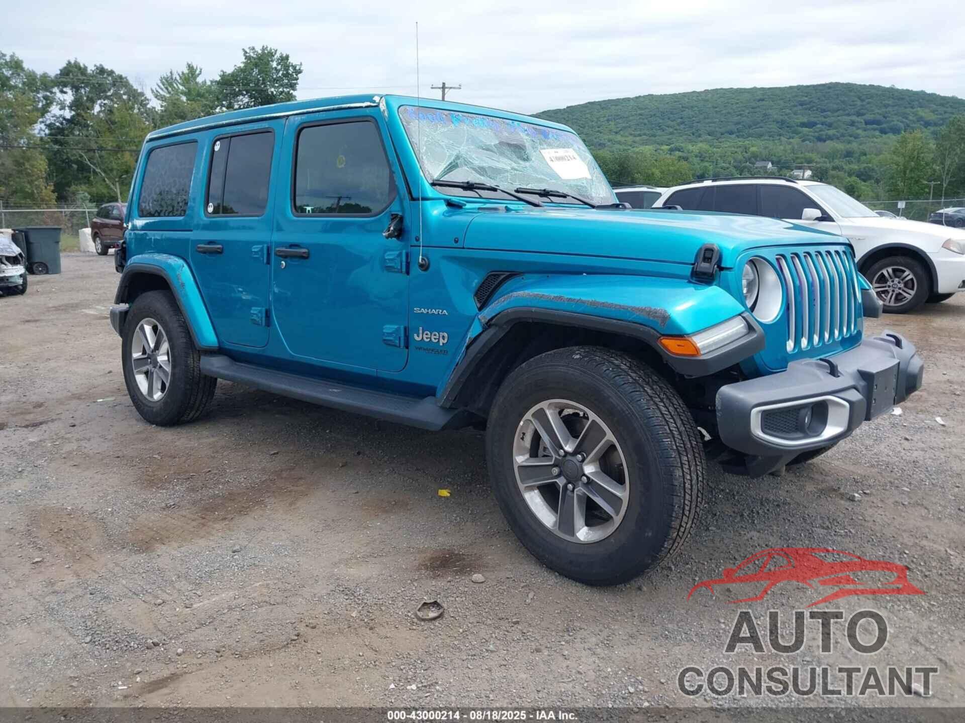JEEP WRANGLER UNLIMITED 2020 - 1C4HJXEG1LW327720