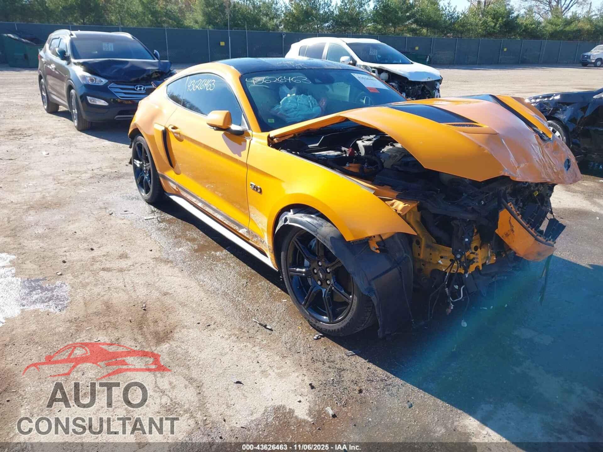 FORD MUSTANG 2019 - 1FA6P8CF2K5160333