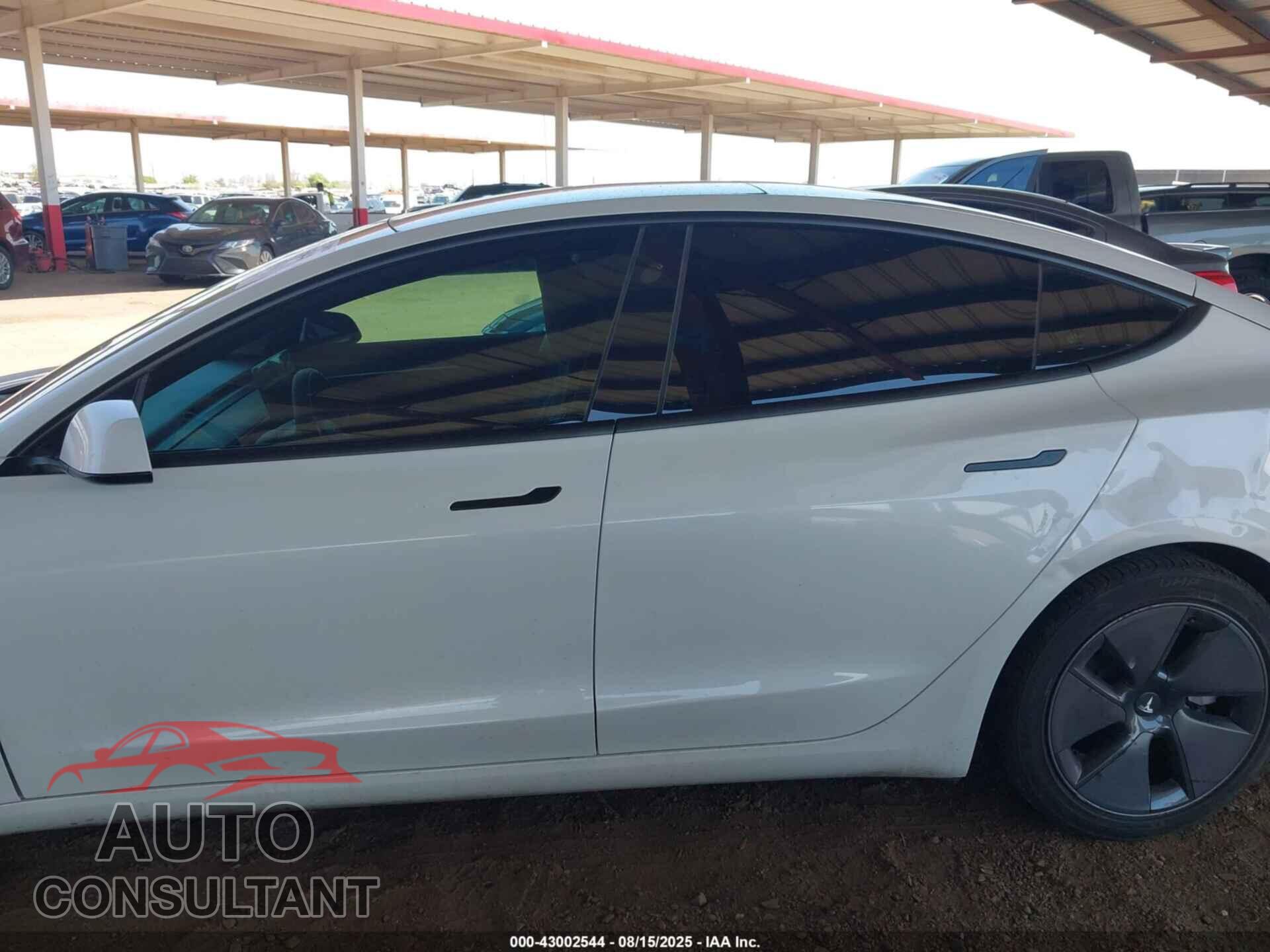 TESLA MODEL 3 2021 - 5YJ3E1EA3MF100798