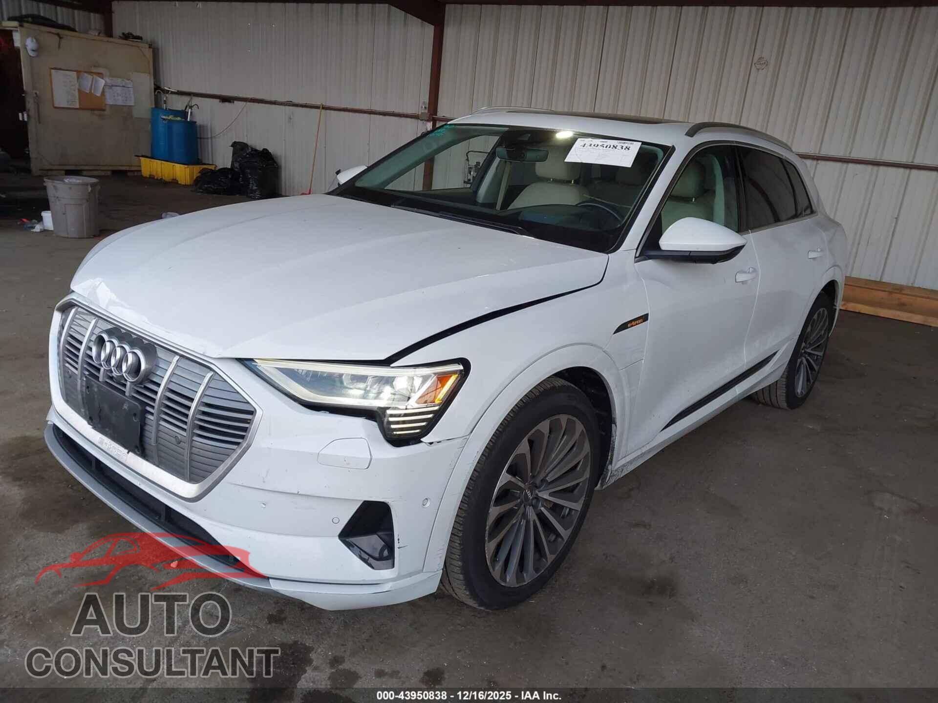 AUDI E-TRON 2019 - WA1VABGE6KB024157