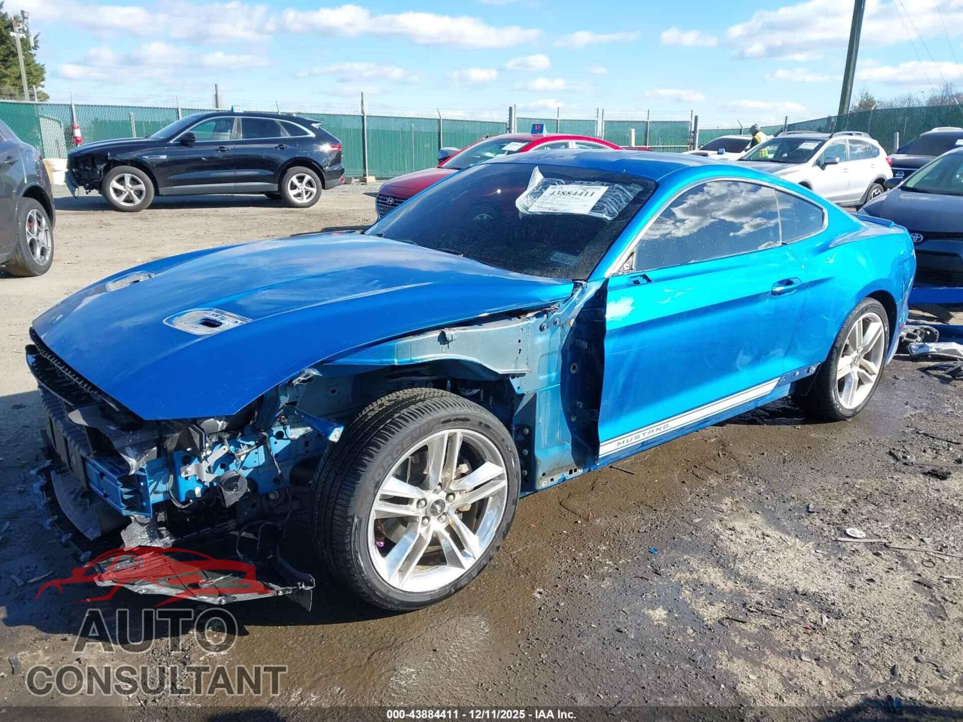 FORD MUSTANG 2019 - 1FA6P8TH3K5114494