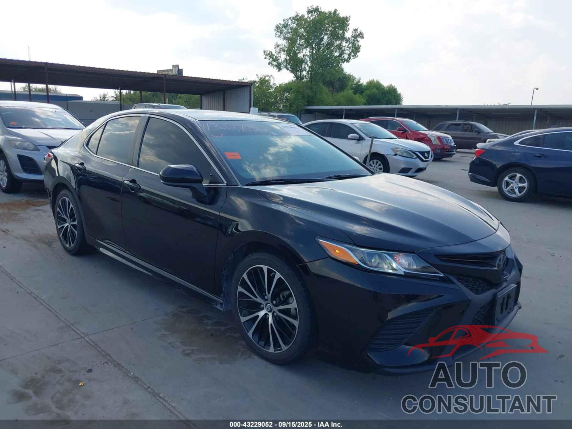 TOYOTA CAMRY 2019 - 4T1B11HK6KU237181