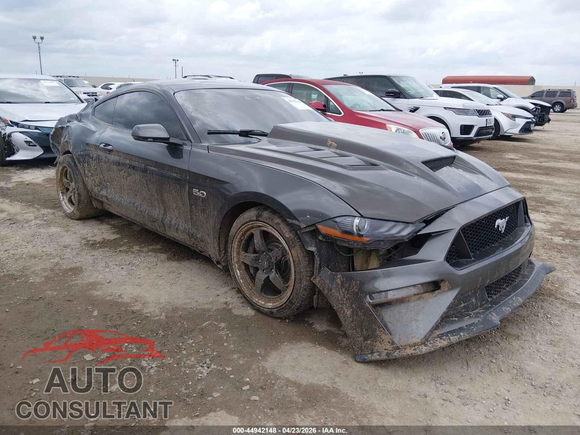 FORD MUSTANG 2019 - 1FA6P8CF5K5113023