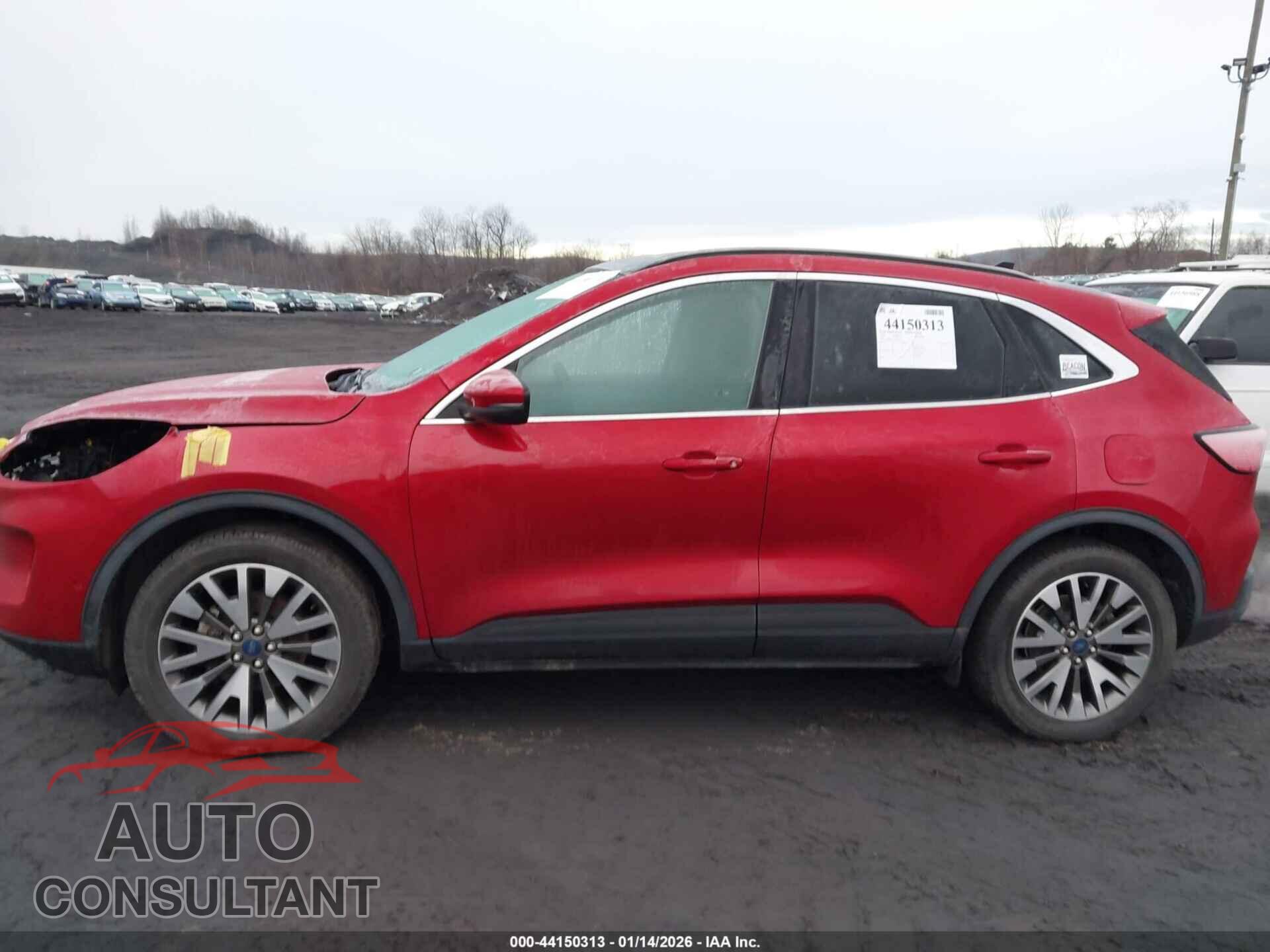 FORD ESCAPE 2020 - 1FMCU9J97LUA05353