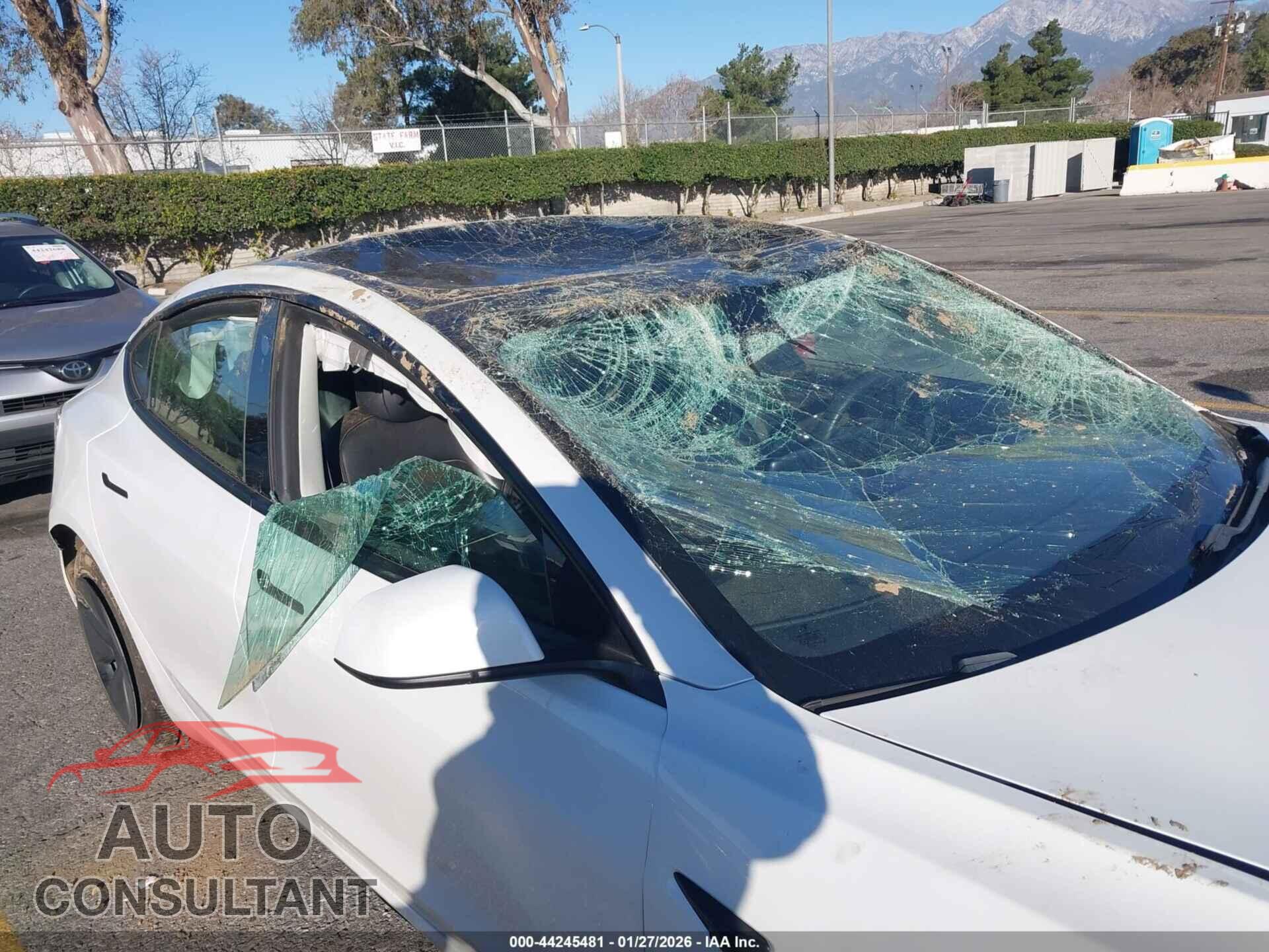 TESLA MODEL 3 2021 - 5YJ3E1EA9MF939547