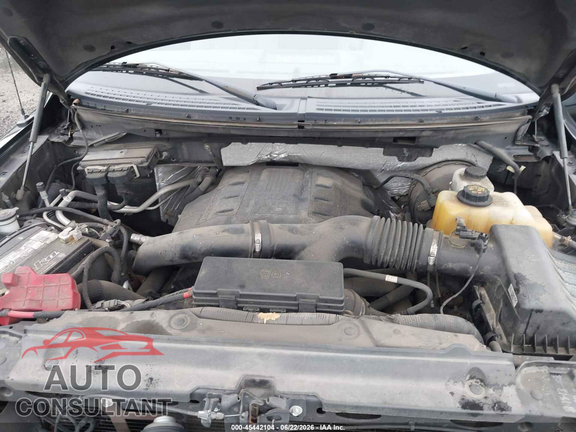 FORD F-150 2013 - 1FTFX1CT8DFD02284