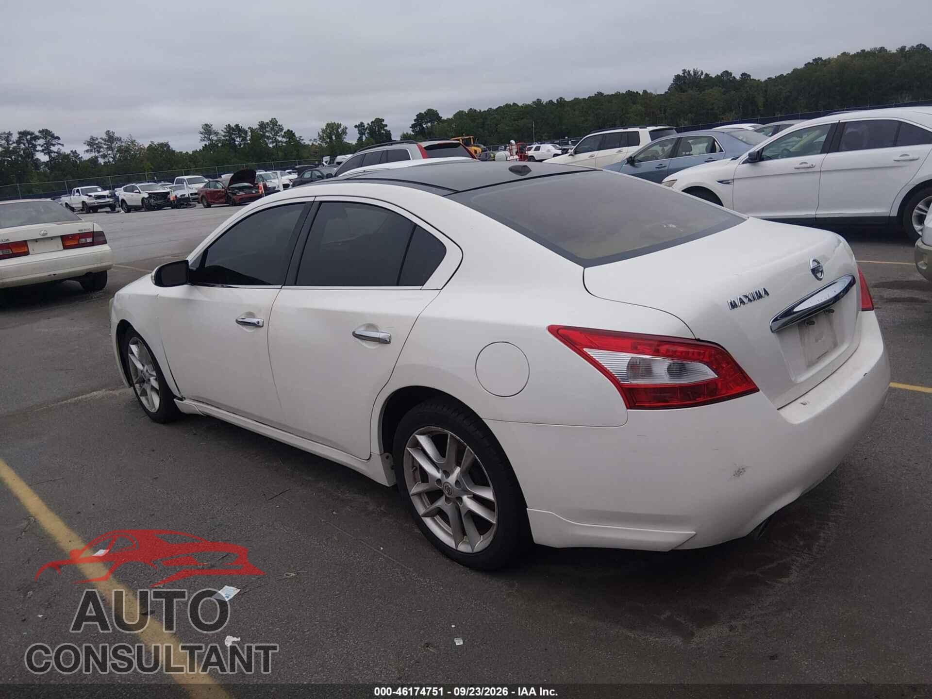 NISSAN MAXIMA 2011 - 1N4AA5AP8BC856485