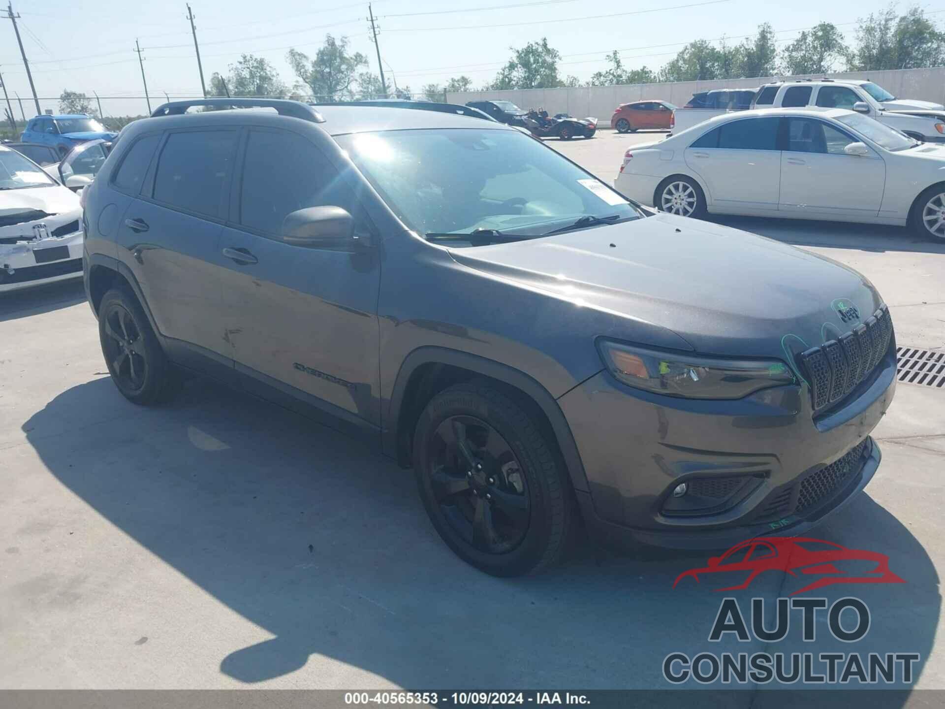 JEEP CHEROKEE 2021 - 1C4PJLLB0MD237239