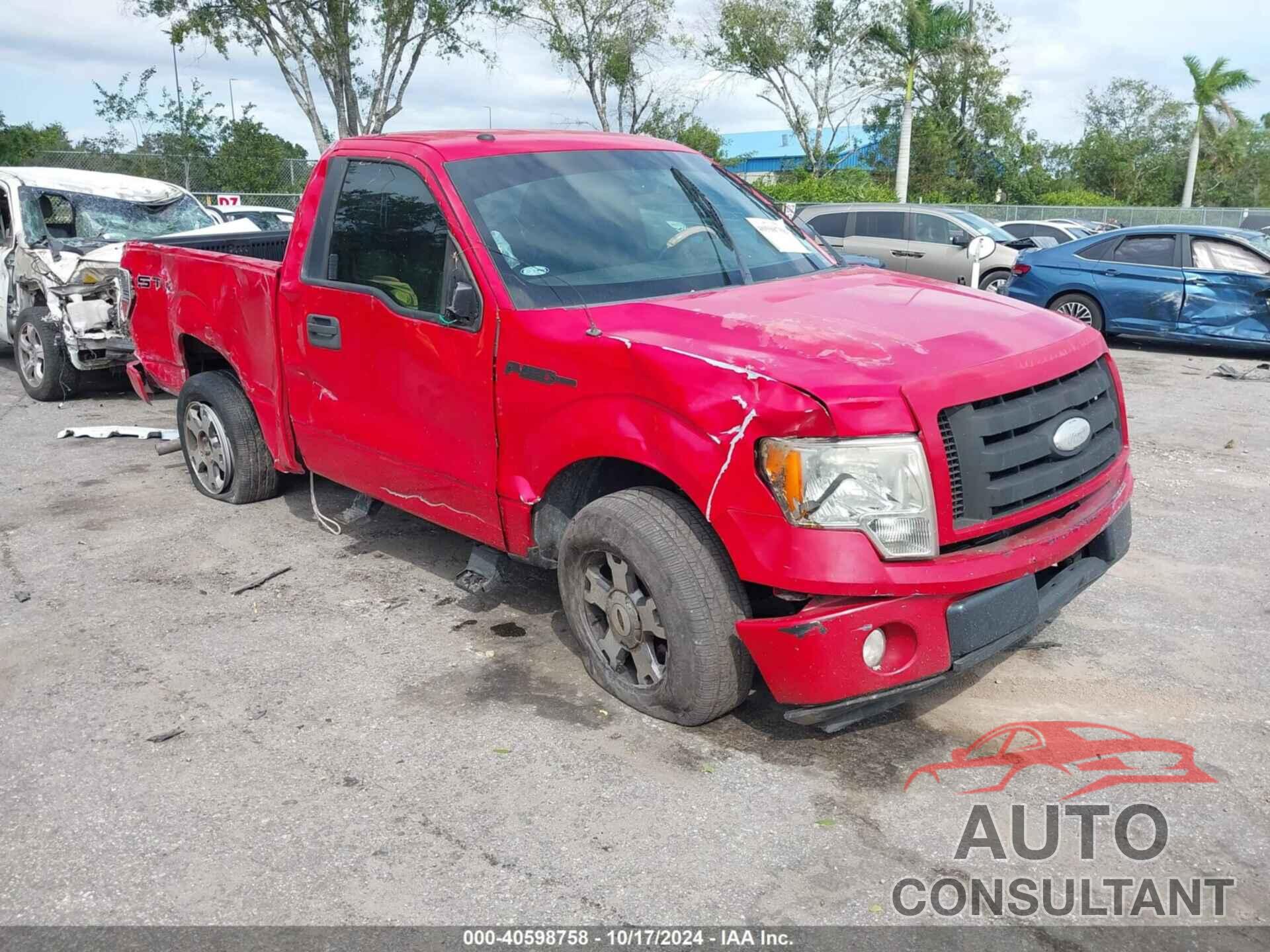 FORD F-150 2009 - 1FTRF12W69KB16480