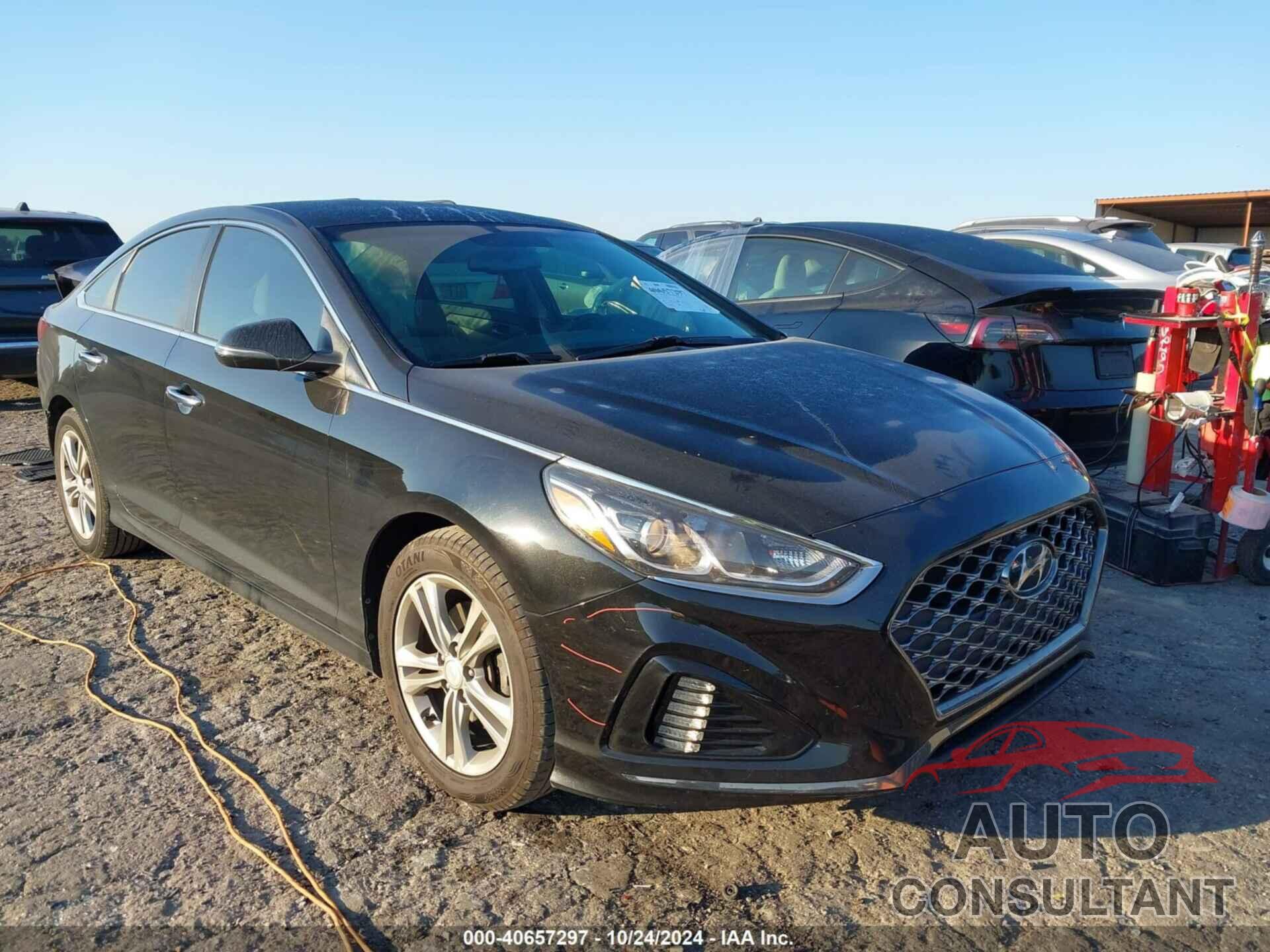 HYUNDAI SONATA 2019 - 5NPE34AF4KH750997