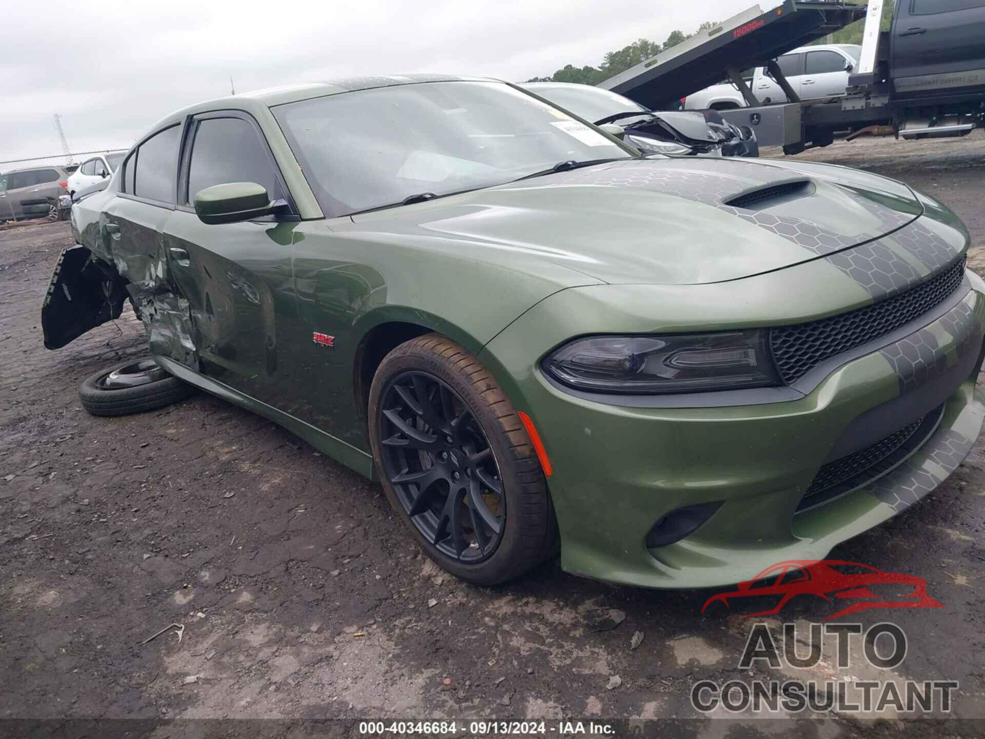 DODGE CHARGER 2018 - 2C3CDXGJ5JH299060