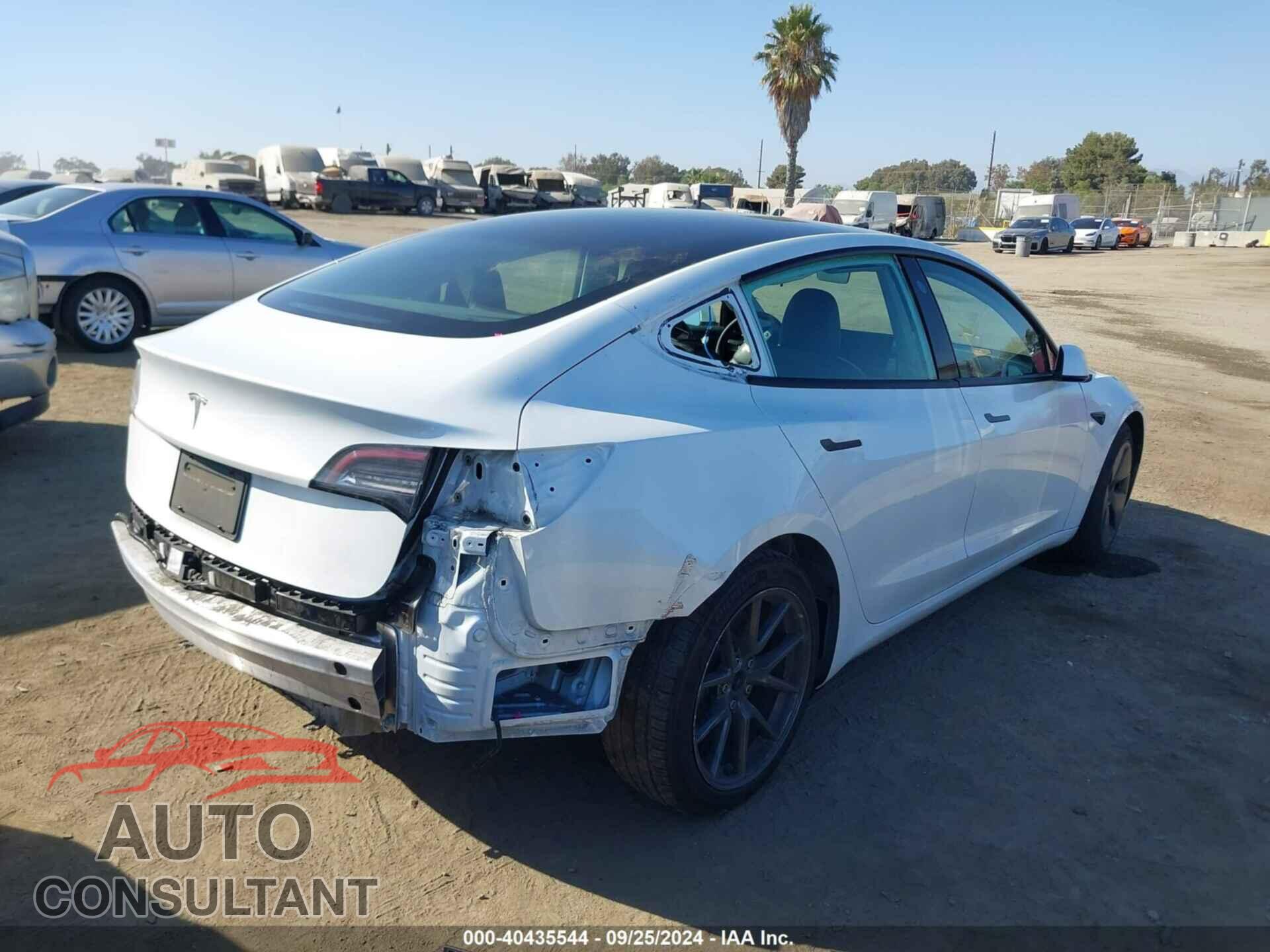 TESLA MODEL 3 2021 - 5YJ3E1EA1MF877366
