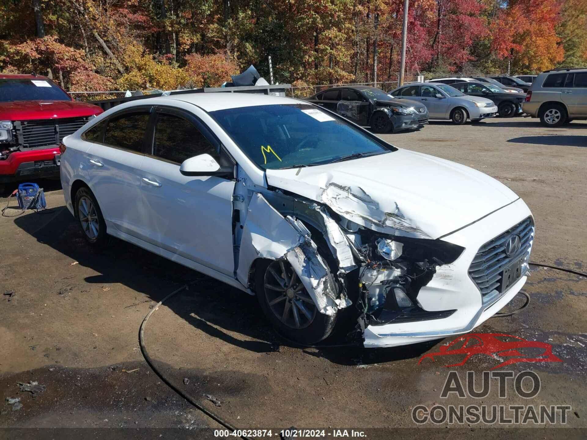 HYUNDAI SONATA 2018 - 5NPE24AF3JH705650