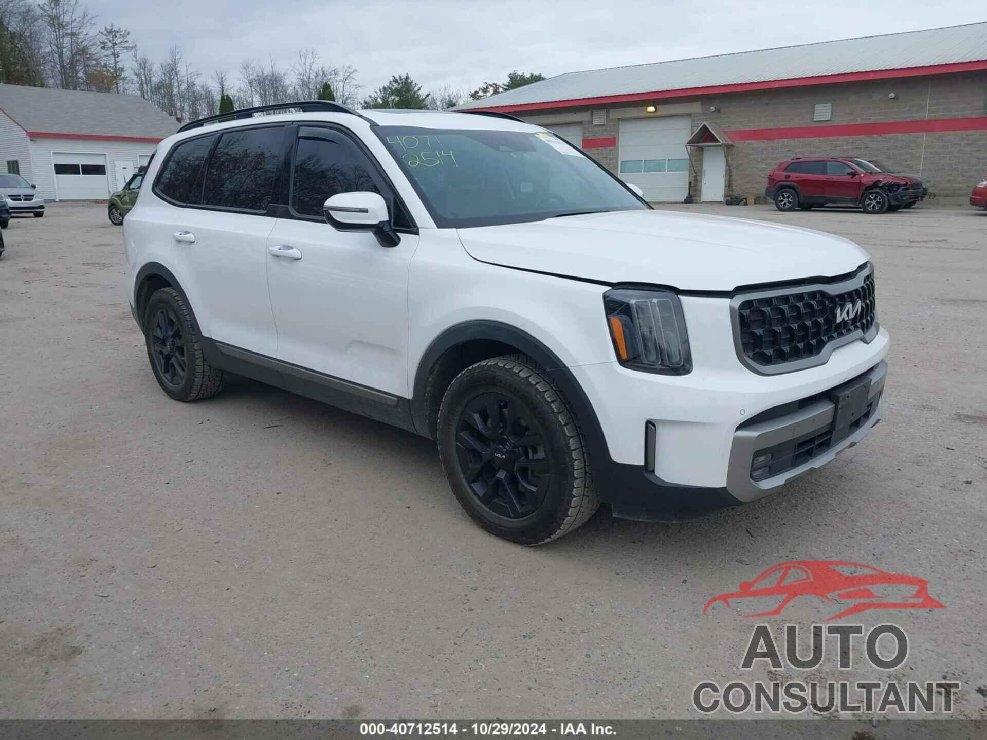 KIA TELLURIDE 2023 - 5XYP5DGC9PG379950