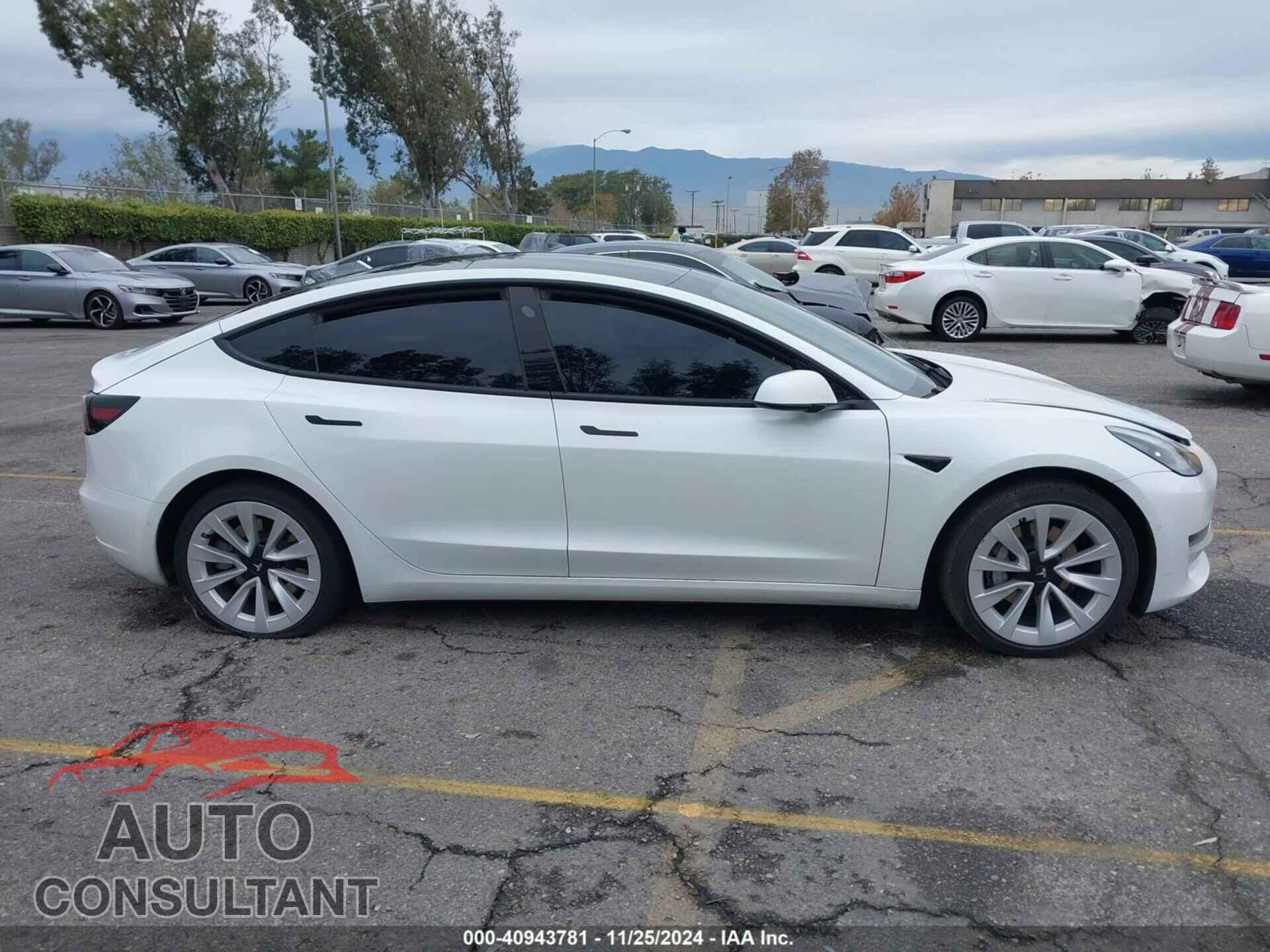 TESLA MODEL 3 2021 - 5YJ3E1EA9MF028652