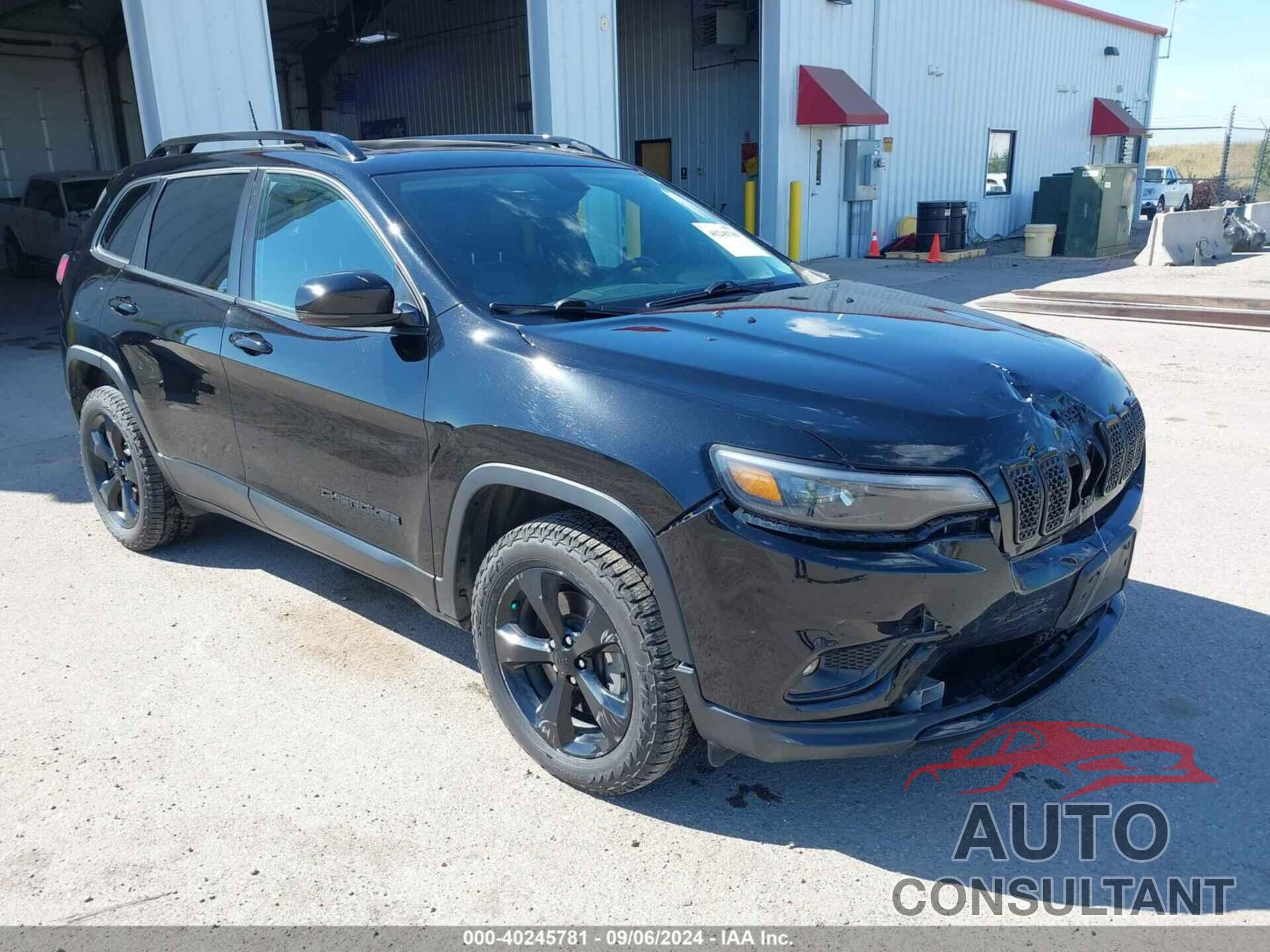 JEEP CHEROKEE 2019 - 1C4PJMLNXKD295520