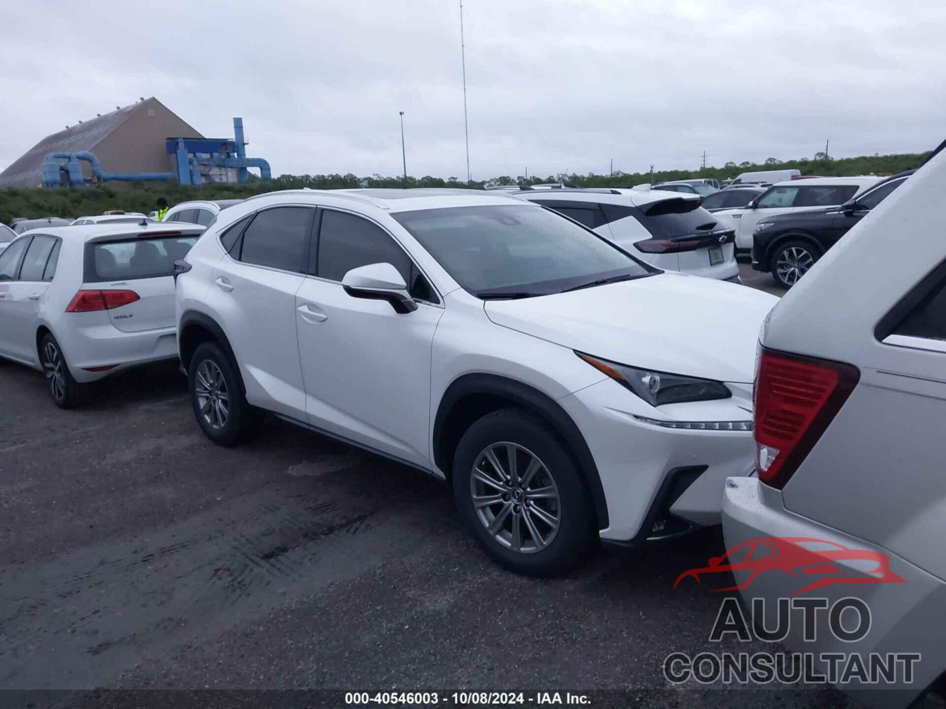 LEXUS NX 2019 - JTJYARBZ7K2142155