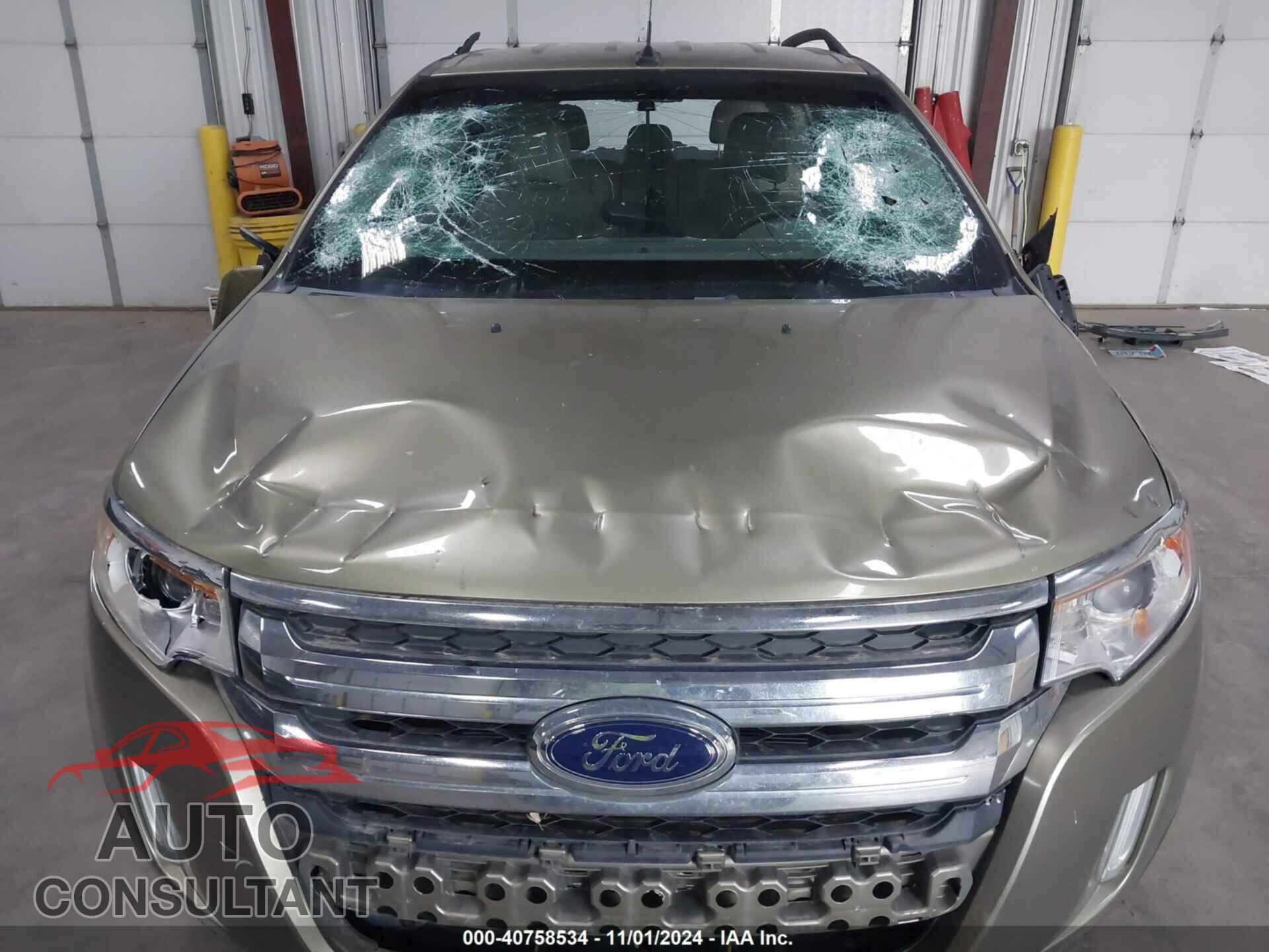FORD EDGE 2012 - 2FMDK3KC0CBA23636