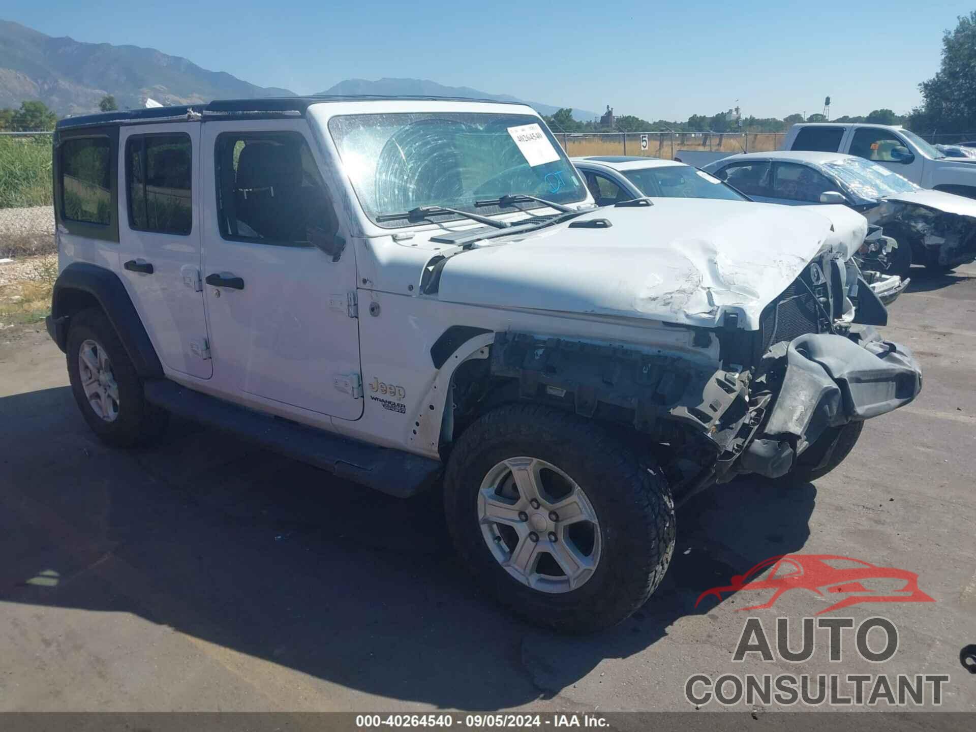 JEEP WRANGLER UNLIMITED 2019 - 1C4HJXDN8KW668563