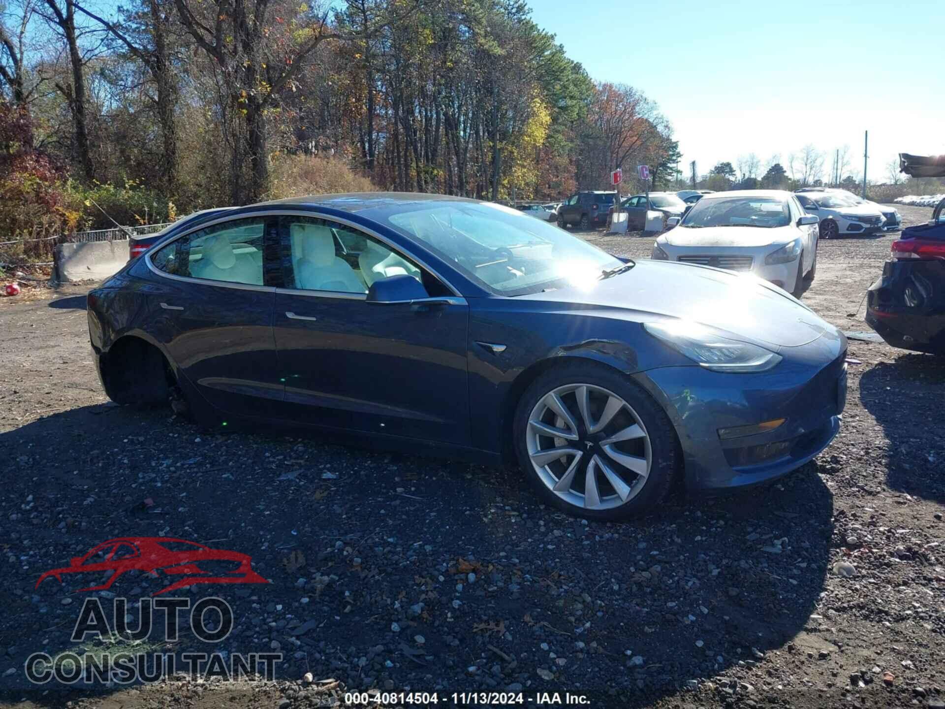 TESLA MODEL 3 2019 - 5YJ3E1EB3KF195725