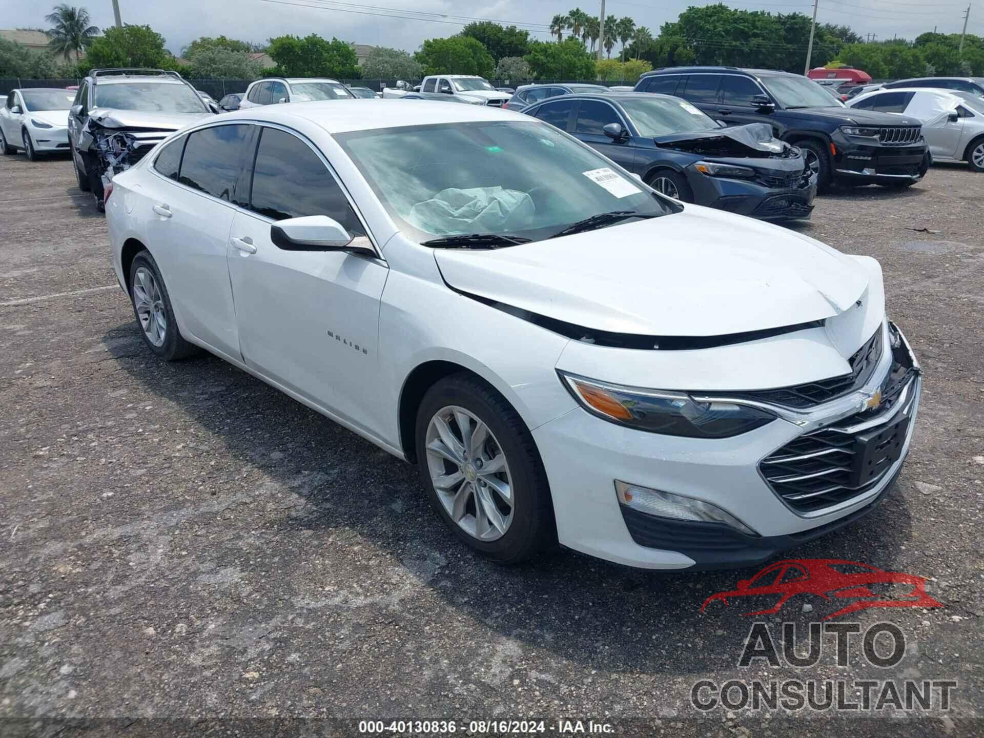 CHEVROLET MALIBU 2019 - 1G1ZD5ST3KF171740